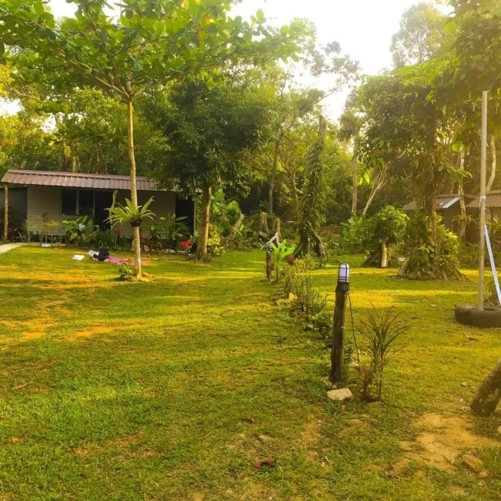 Garden in Green Garden Bungalows