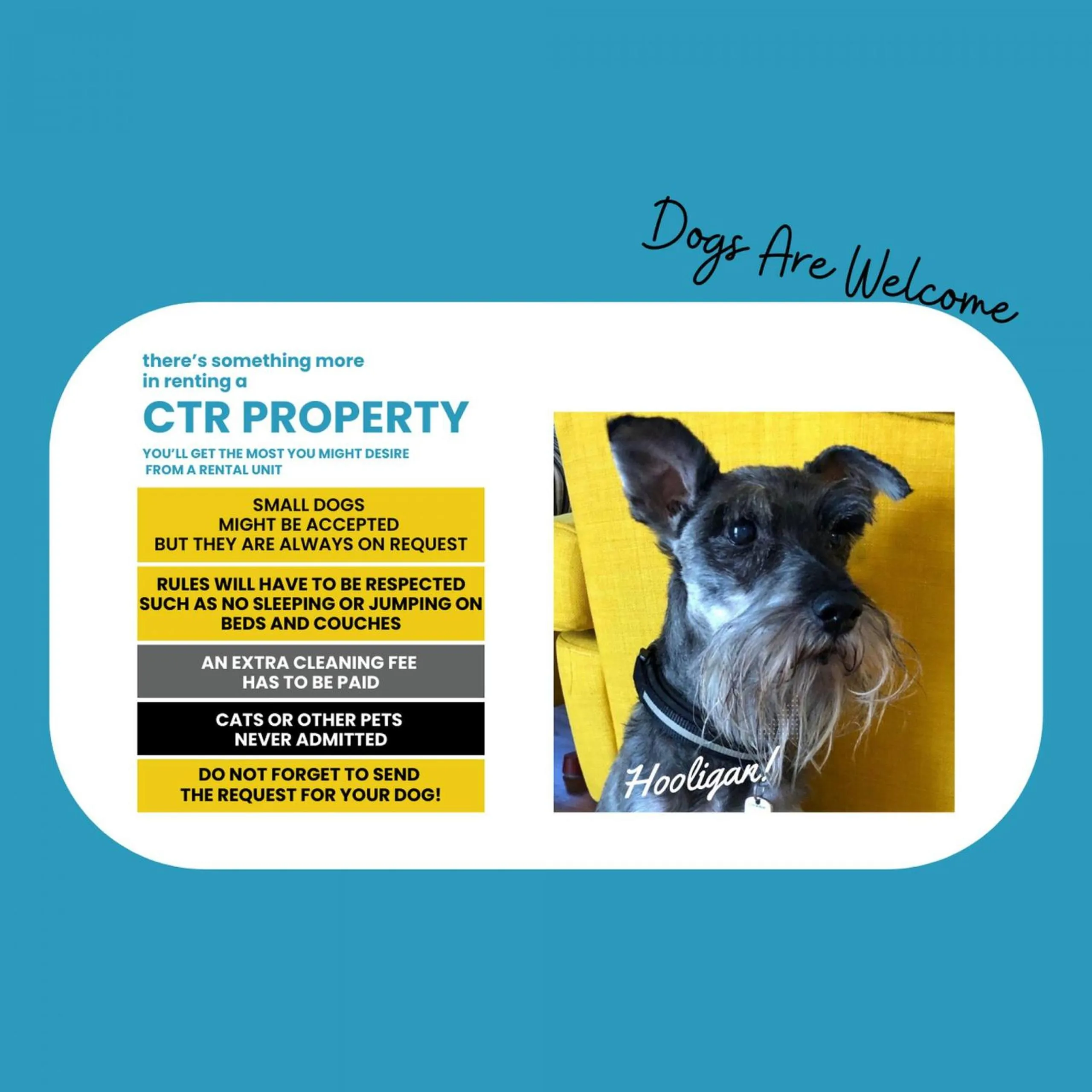 Other in Carmelina Tiny Village Room