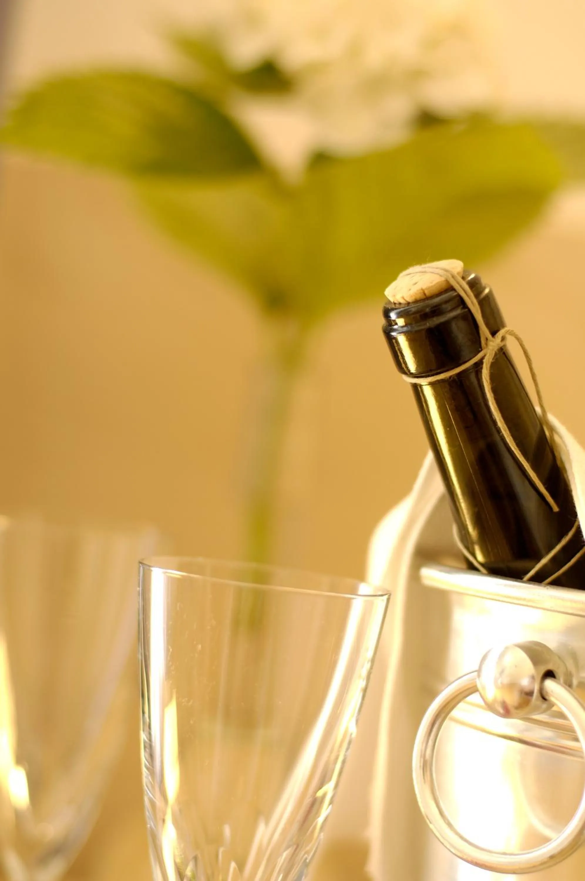 Decorative detail in Eco Hotel Ariston