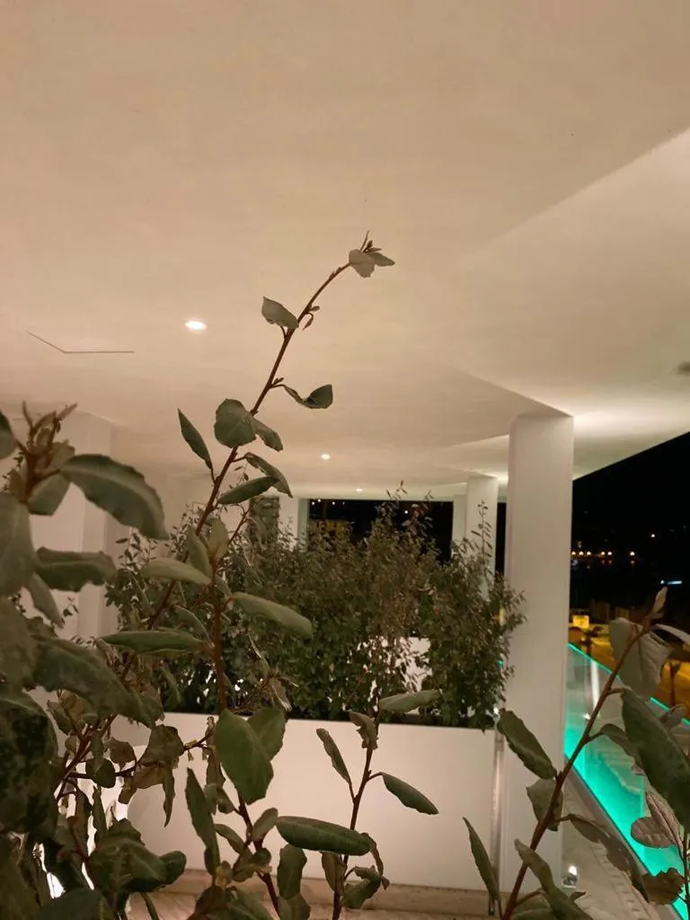 Property building in EUROPA Hotel