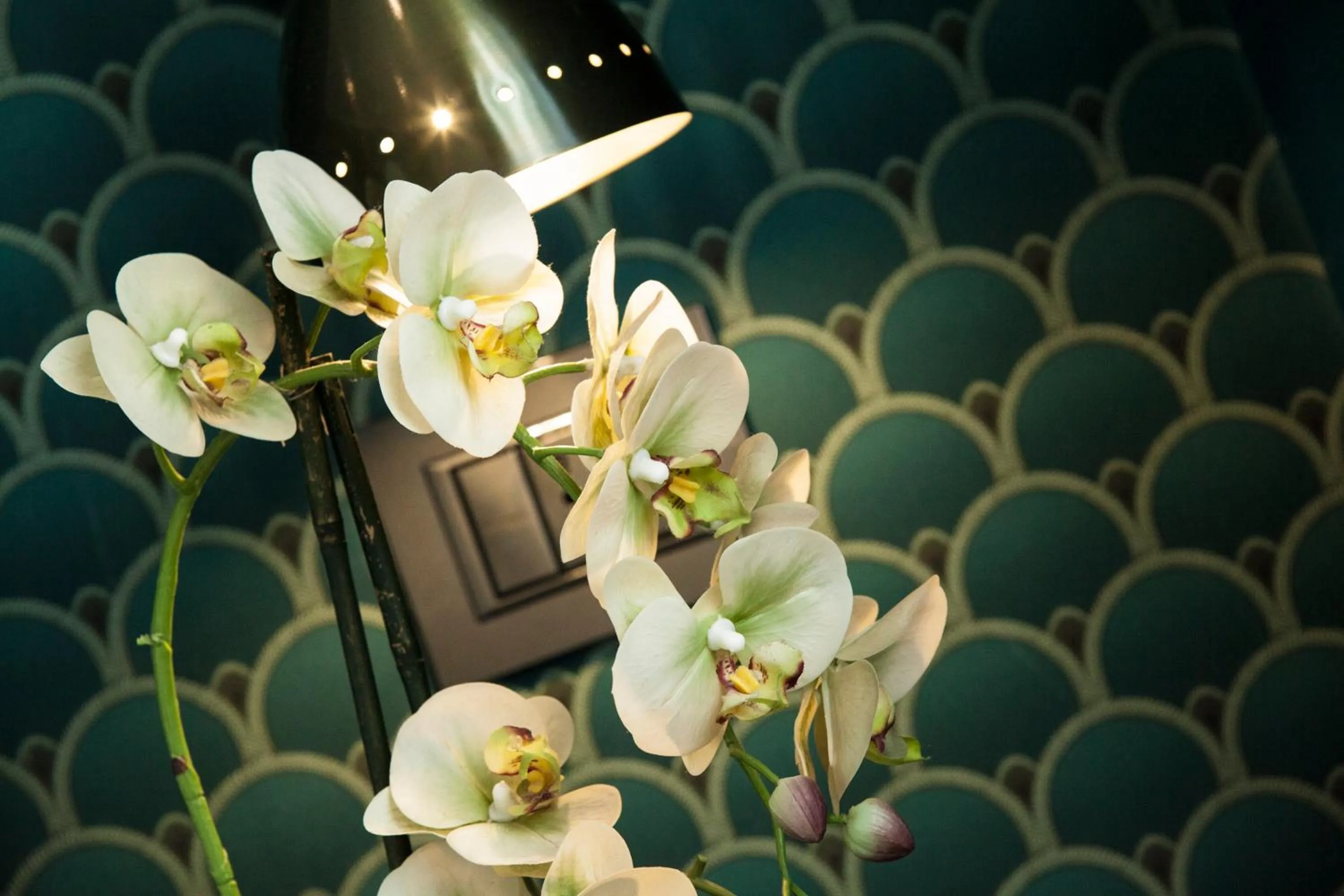 hair dresser in Seven Suites