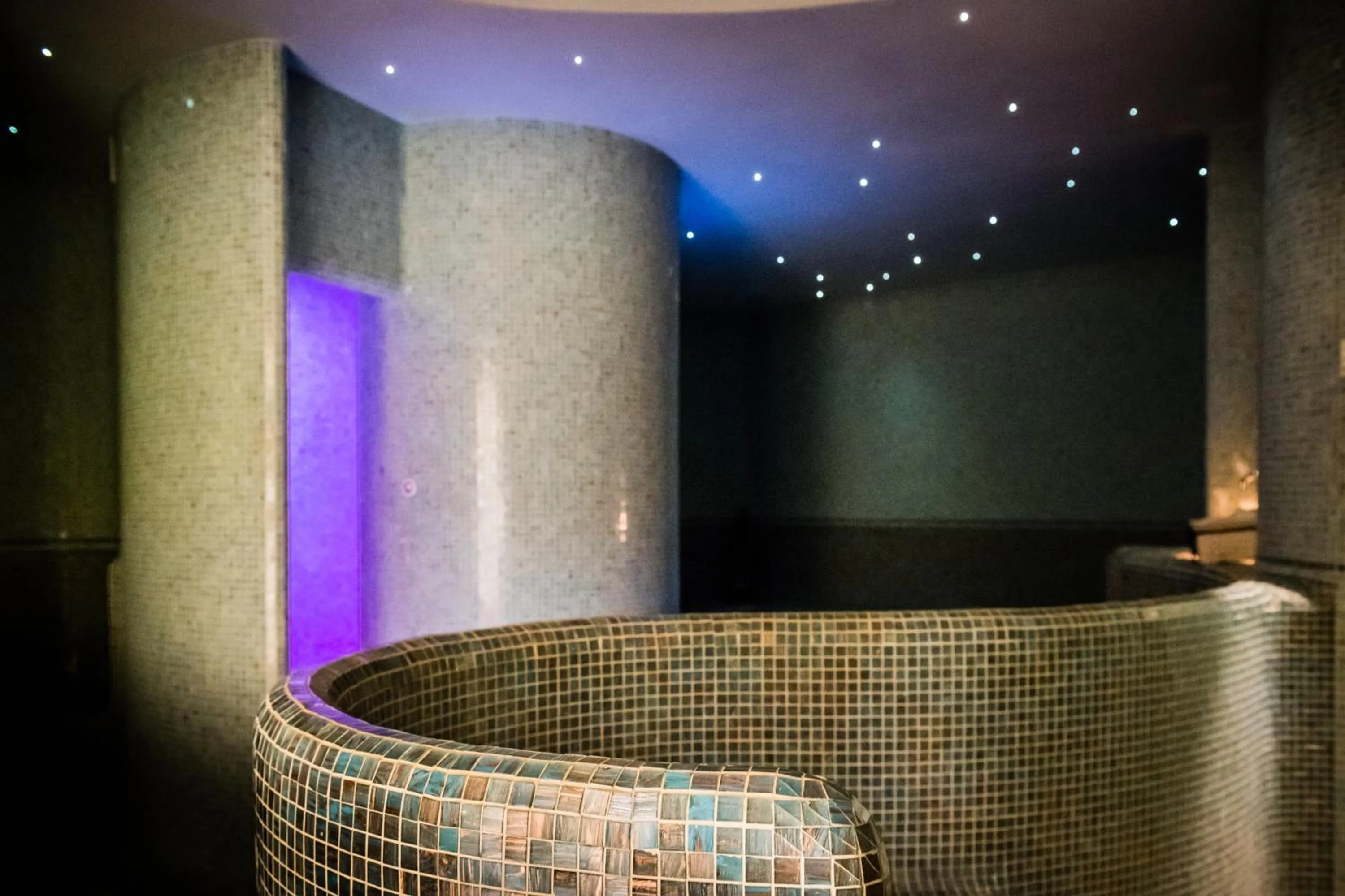 Spa and wellness centre/facilities, Swimming Pool in PHI Park Hotel Alcione