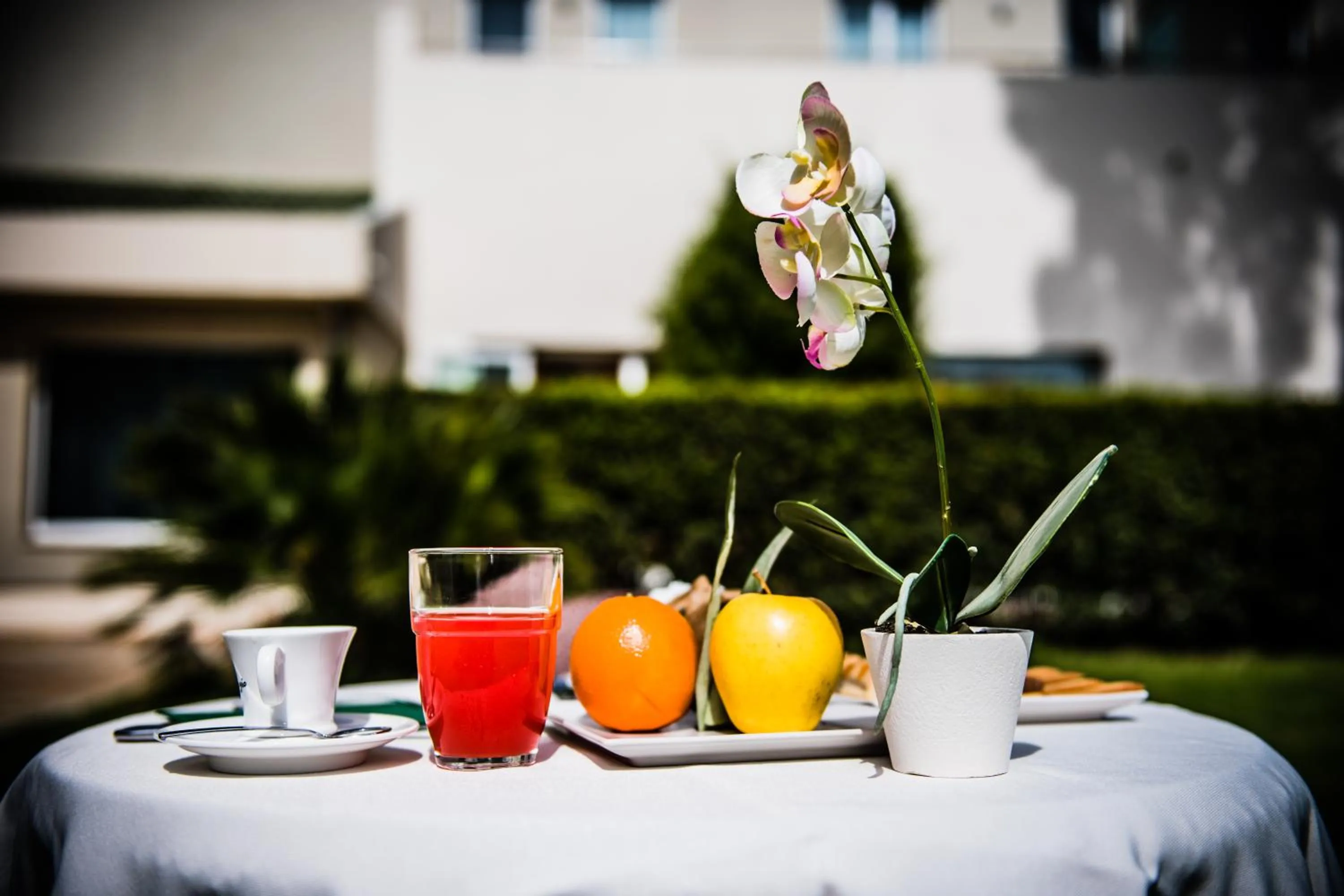 Food close-up in PHI Park Hotel Alcione