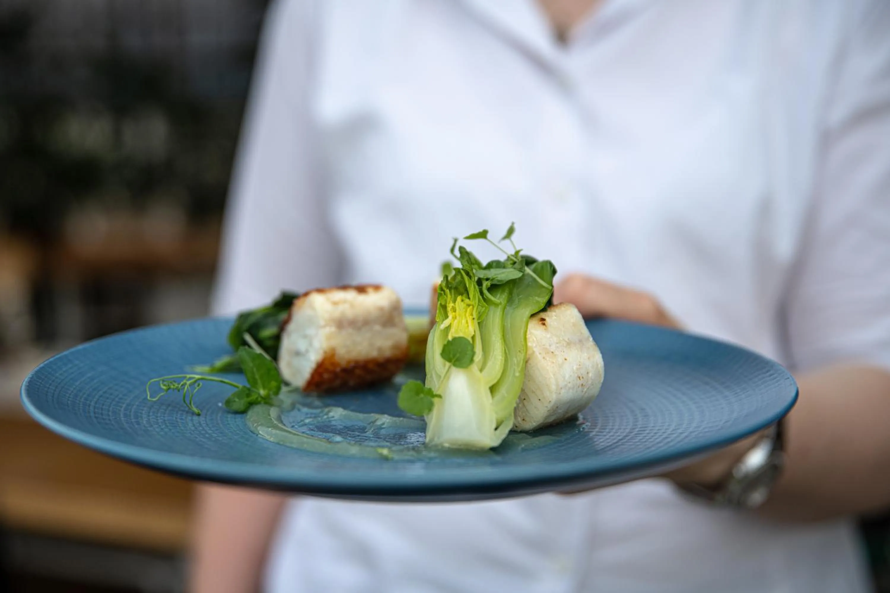 Restaurant/places to eat in Giardinetto