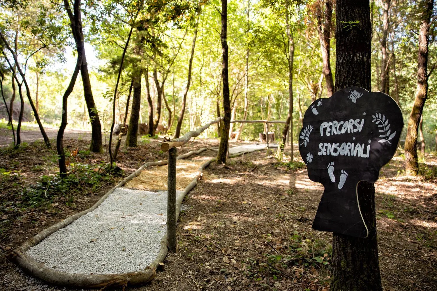 Natural landscape in Il Poggio degli Olivi