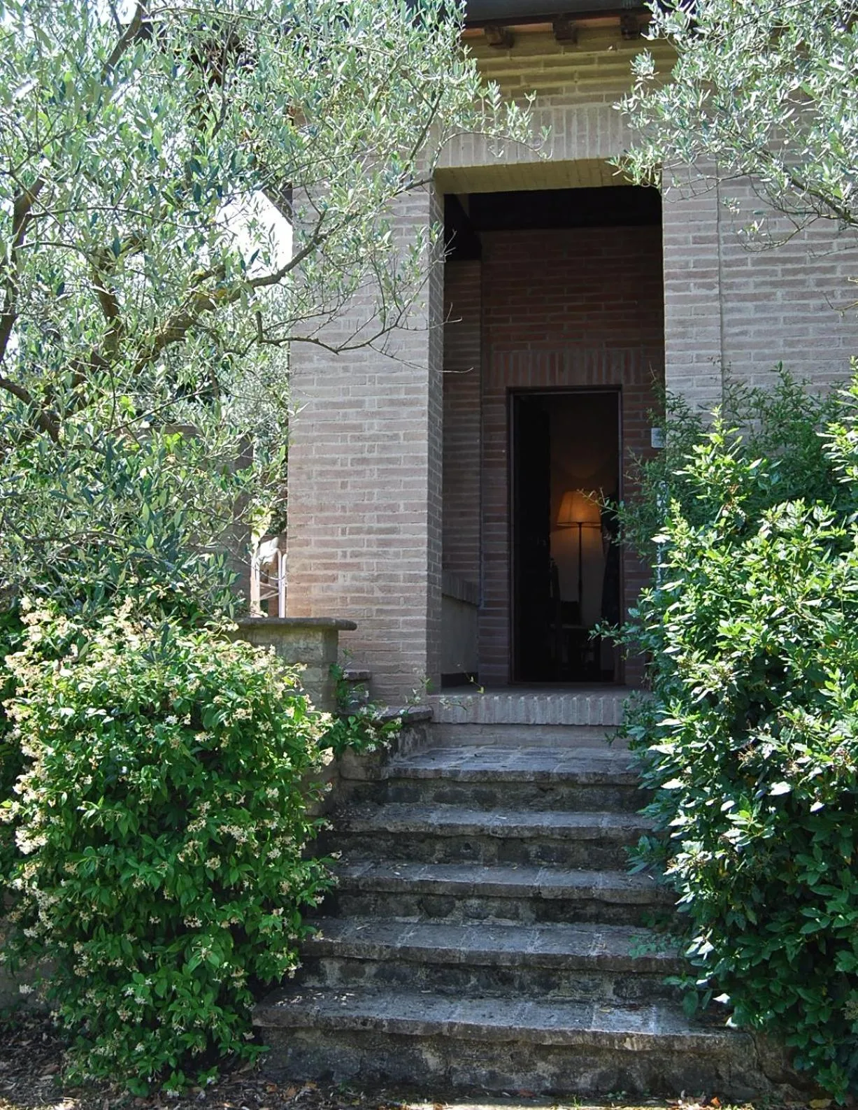 Garden in Il Poggio degli Olivi