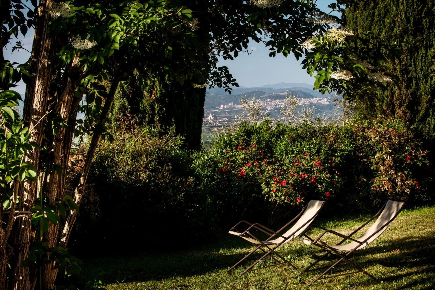 Garden in Il Poggio degli Olivi