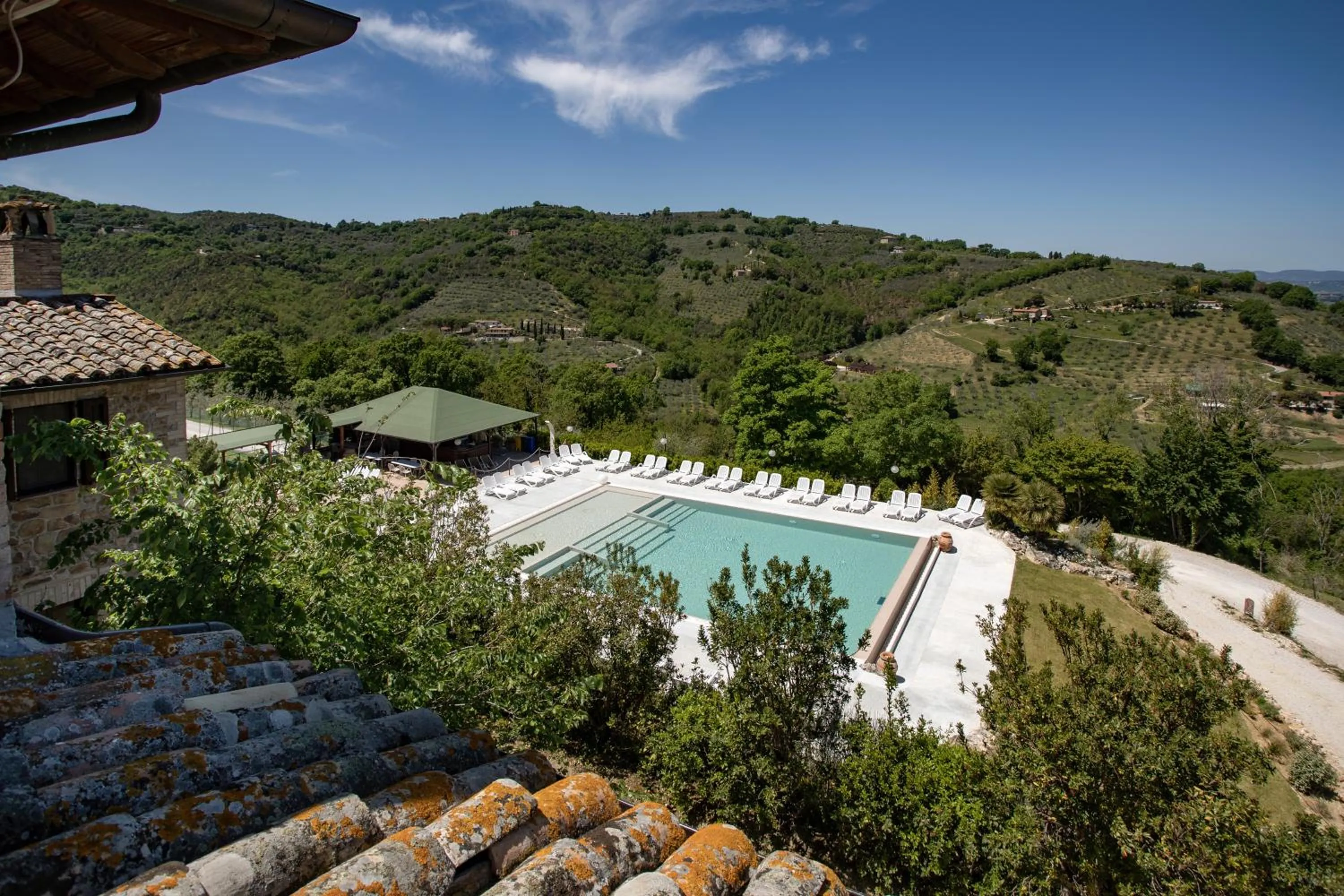 View (from property/room) in Il Poggio degli Olivi