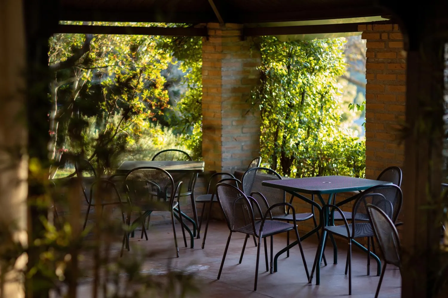 Garden in Il Poggio degli Olivi