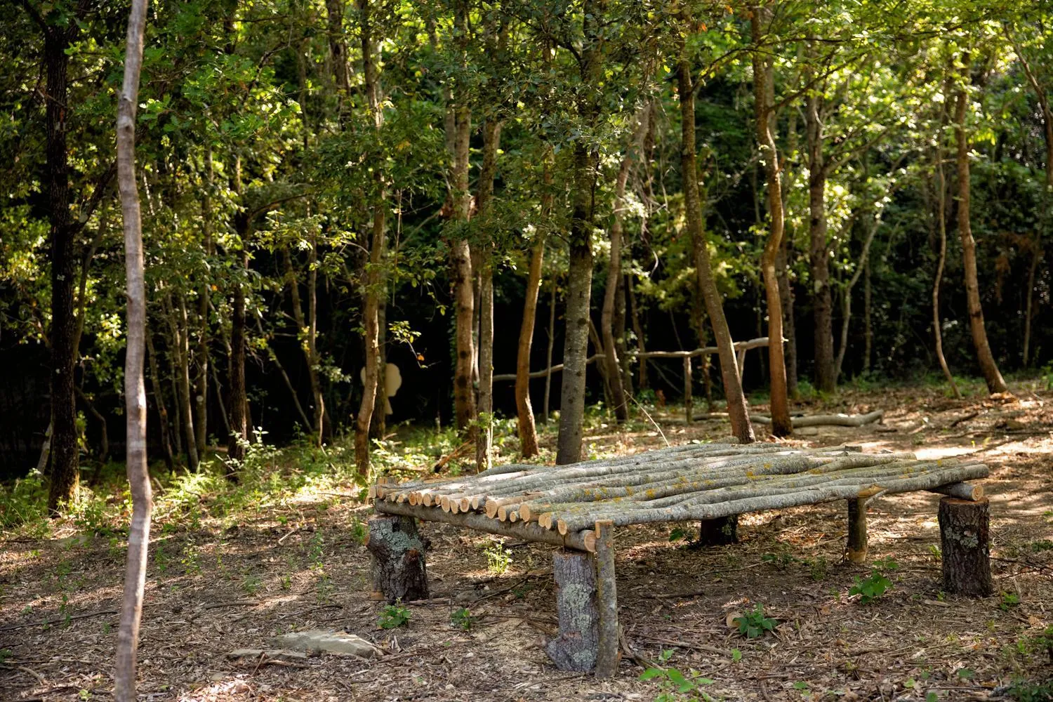 Natural landscape in Il Poggio degli Olivi