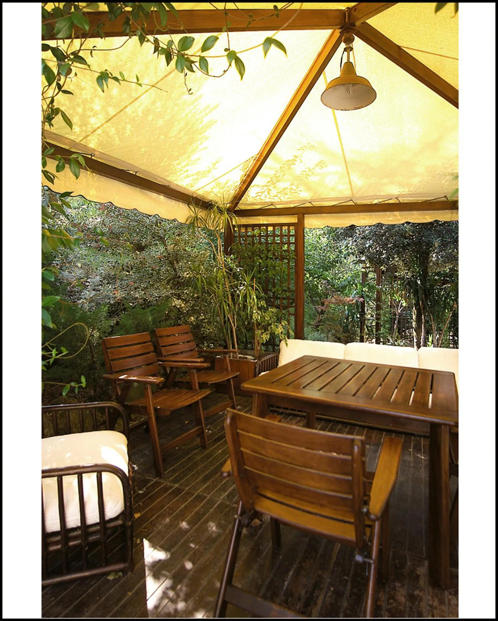 Patio in Il Poggio degli Olivi