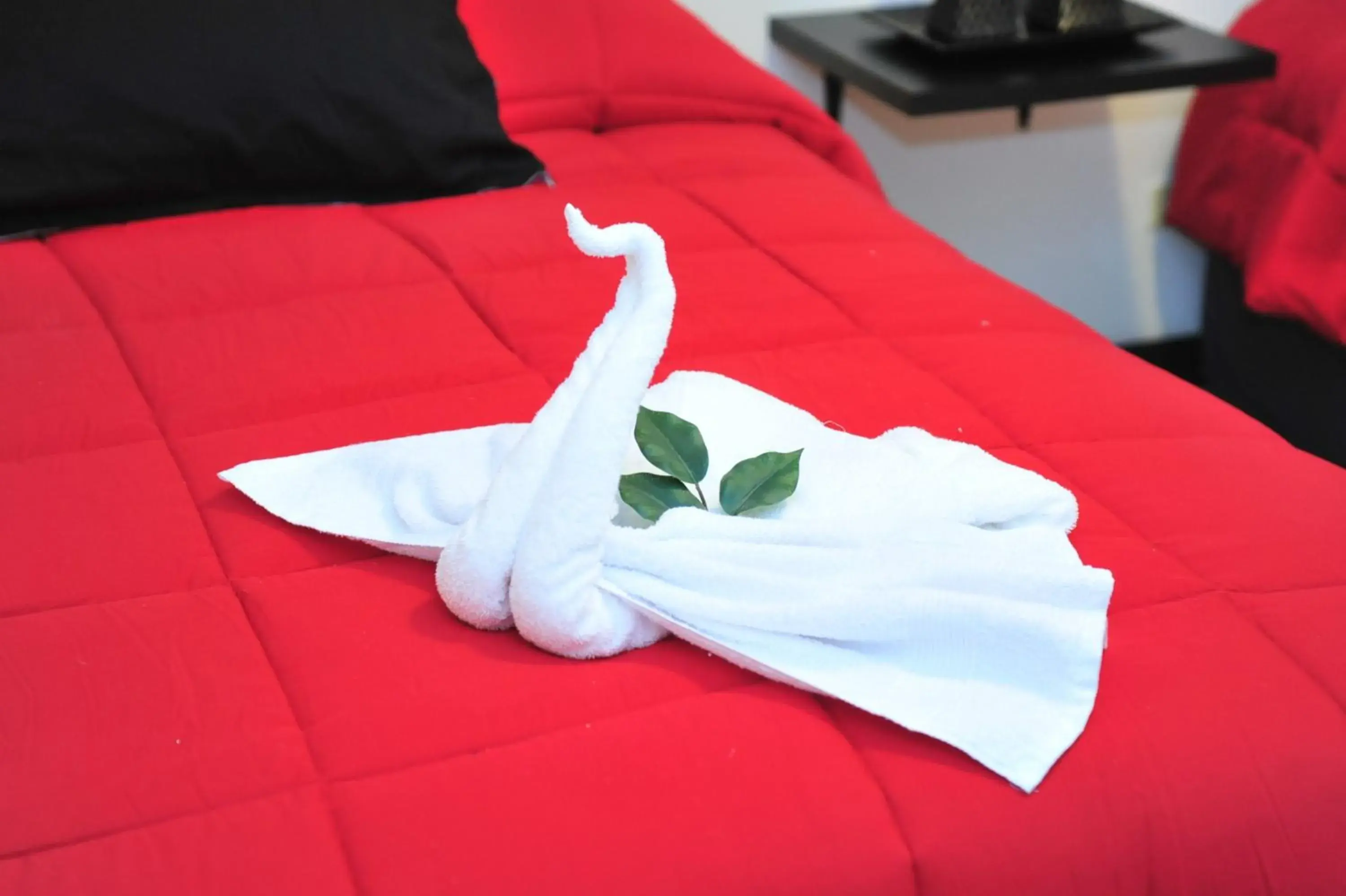 Single Room in G y V Hotels Single Room in G y V Hotels