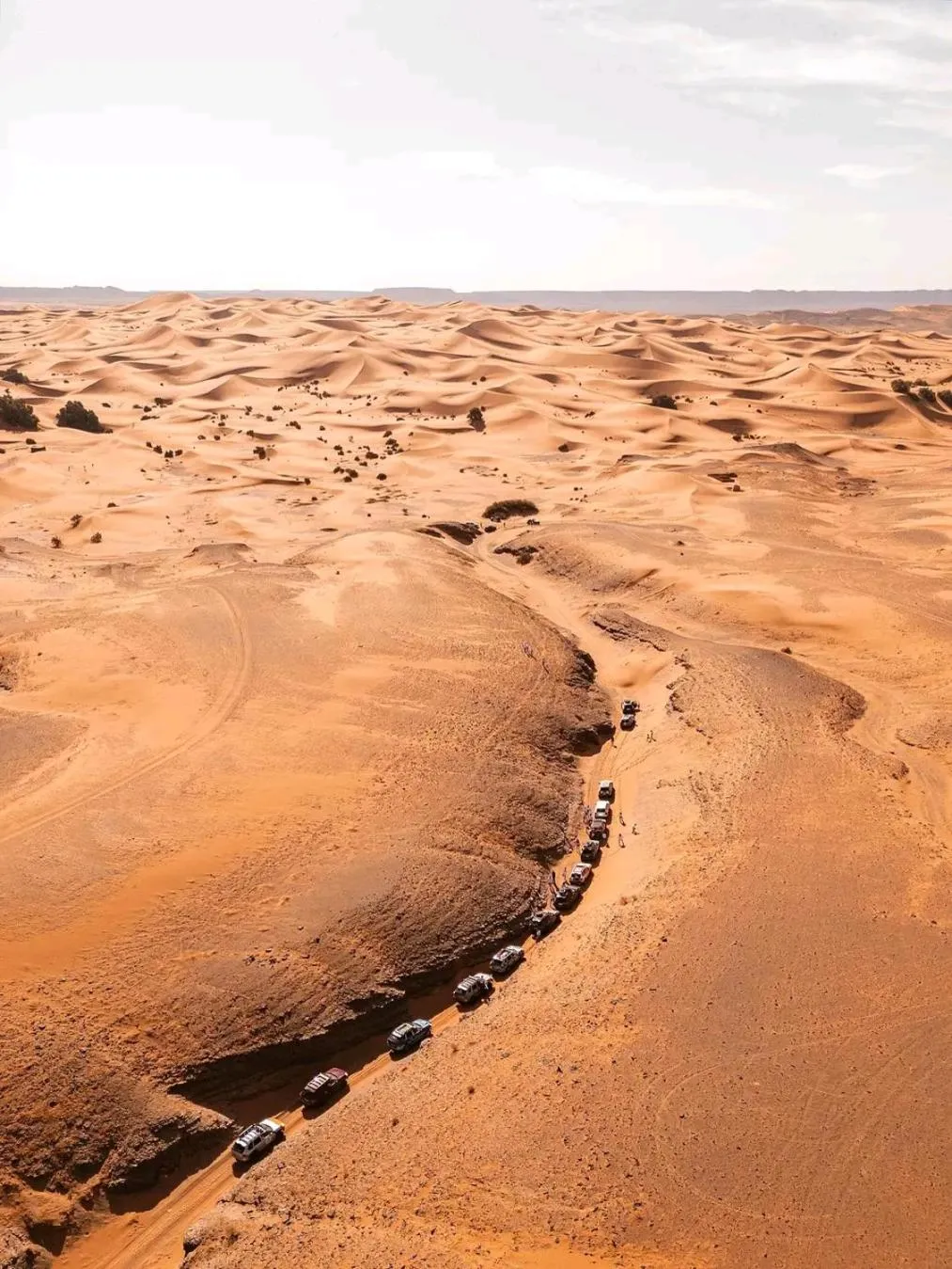 Trek desert Morocco Sarl