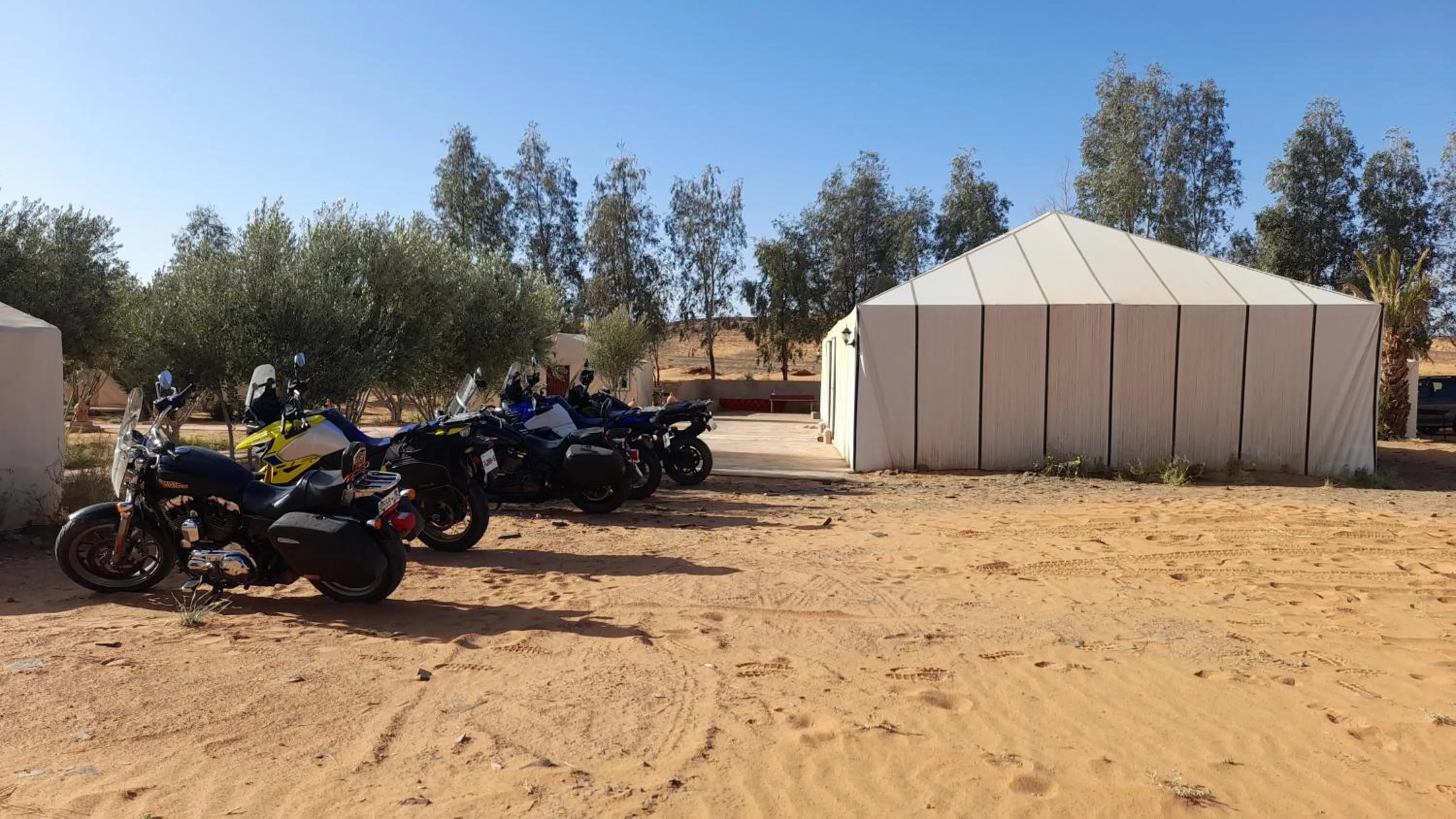 Day in Trek desert Morocco Sarl