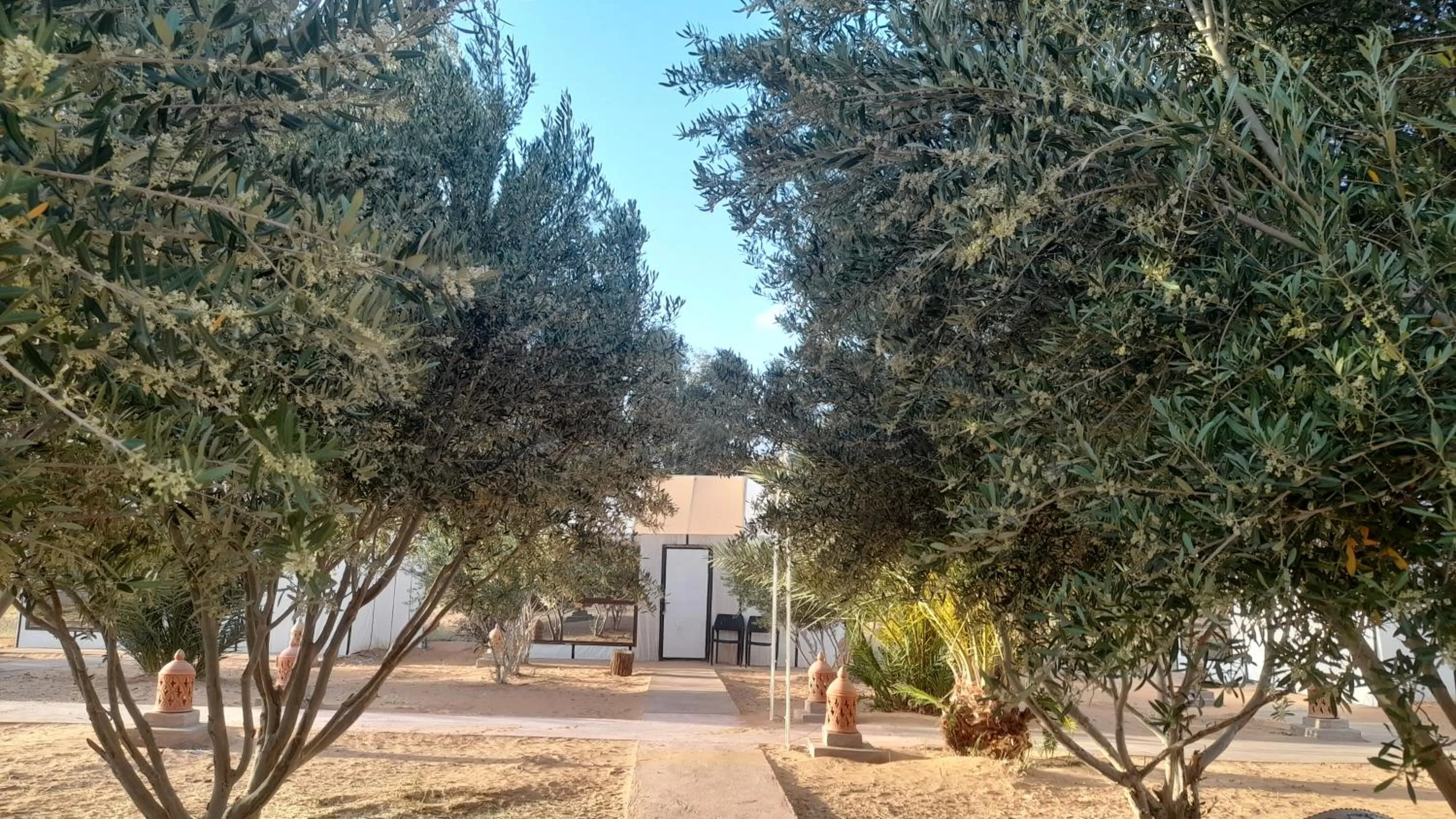 Natural landscape in Trek desert Morocco Sarl