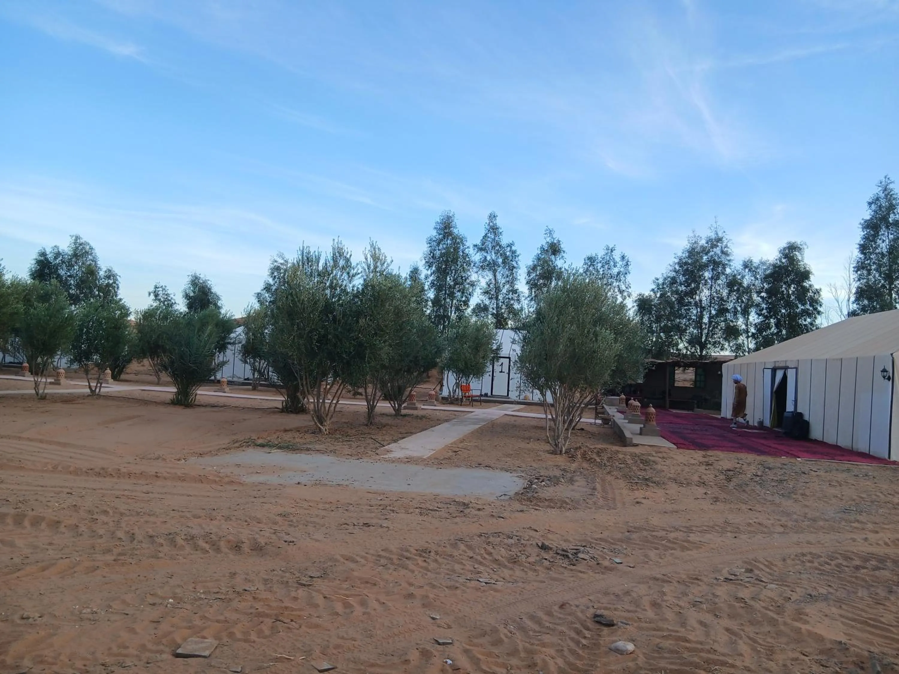 Spring in Trek desert Morocco Sarl