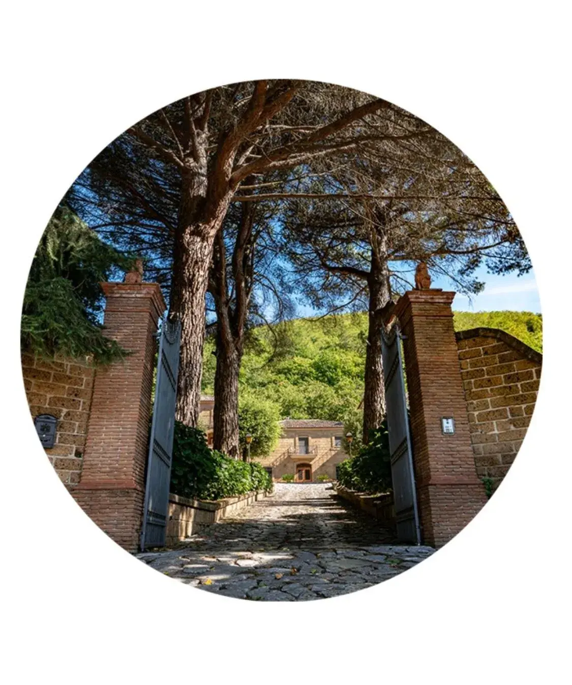 Tenuta Montelaura Tenuta Montelaura