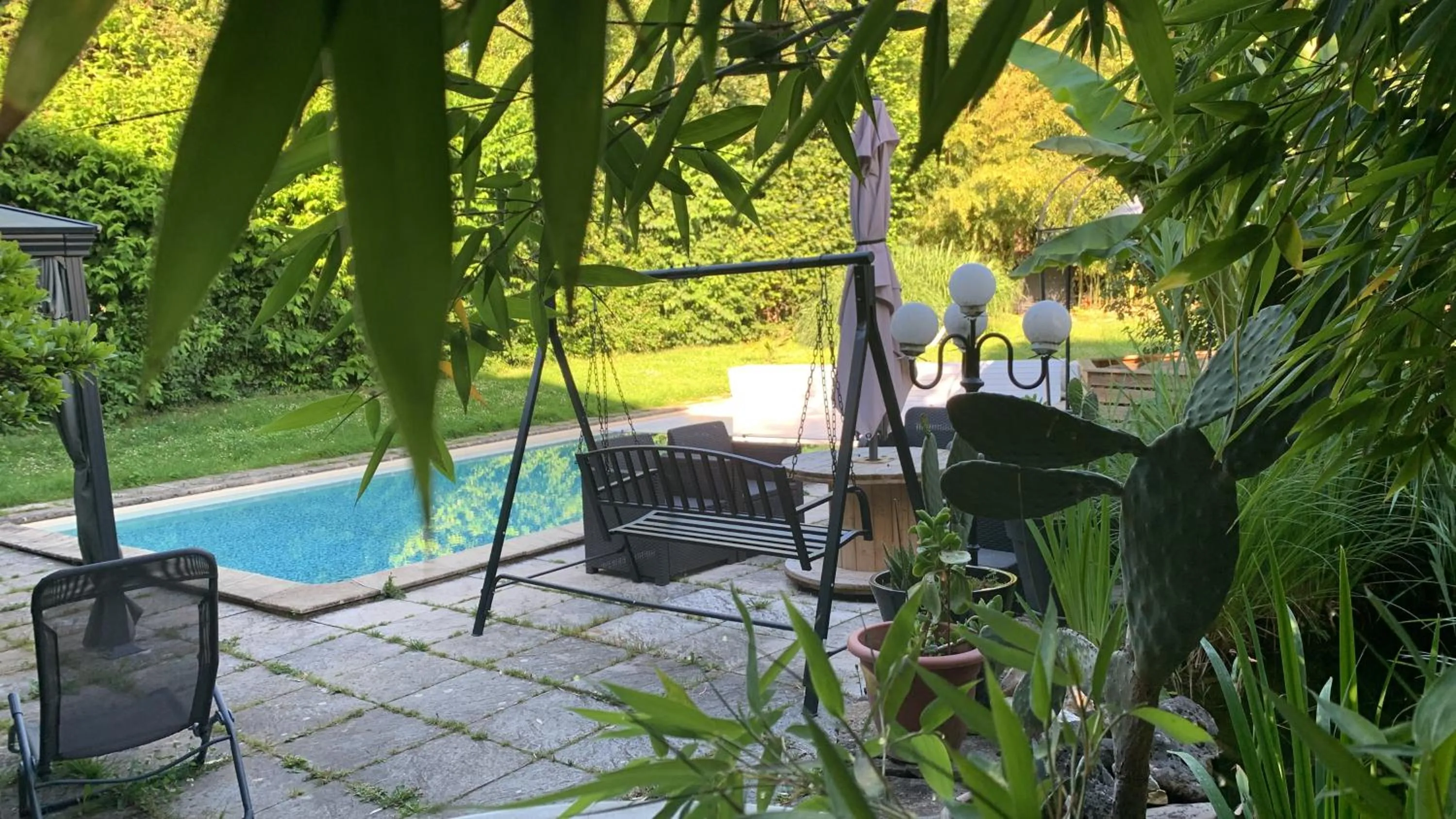 Pool View in Cookie home
