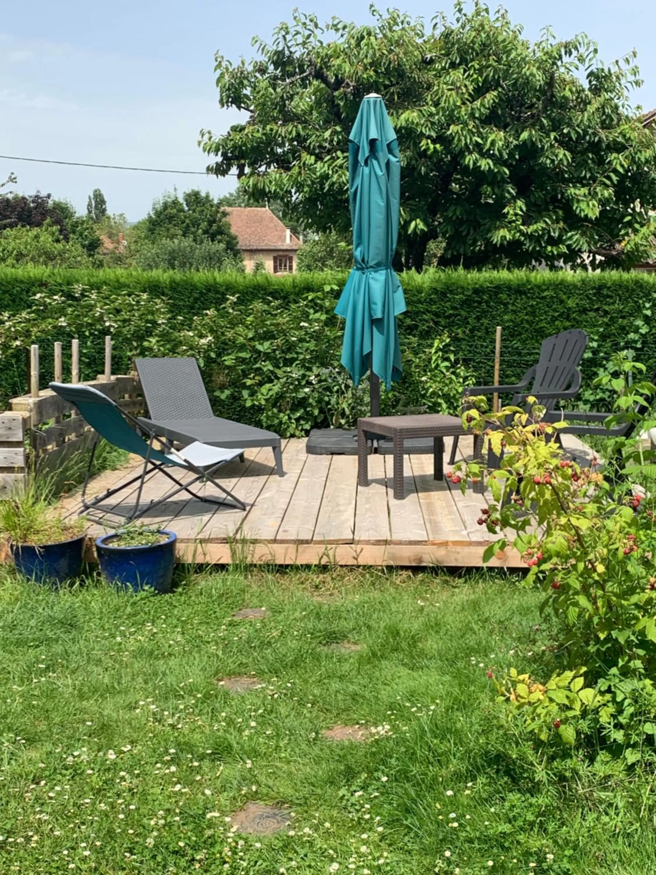 Garden in Cookie home