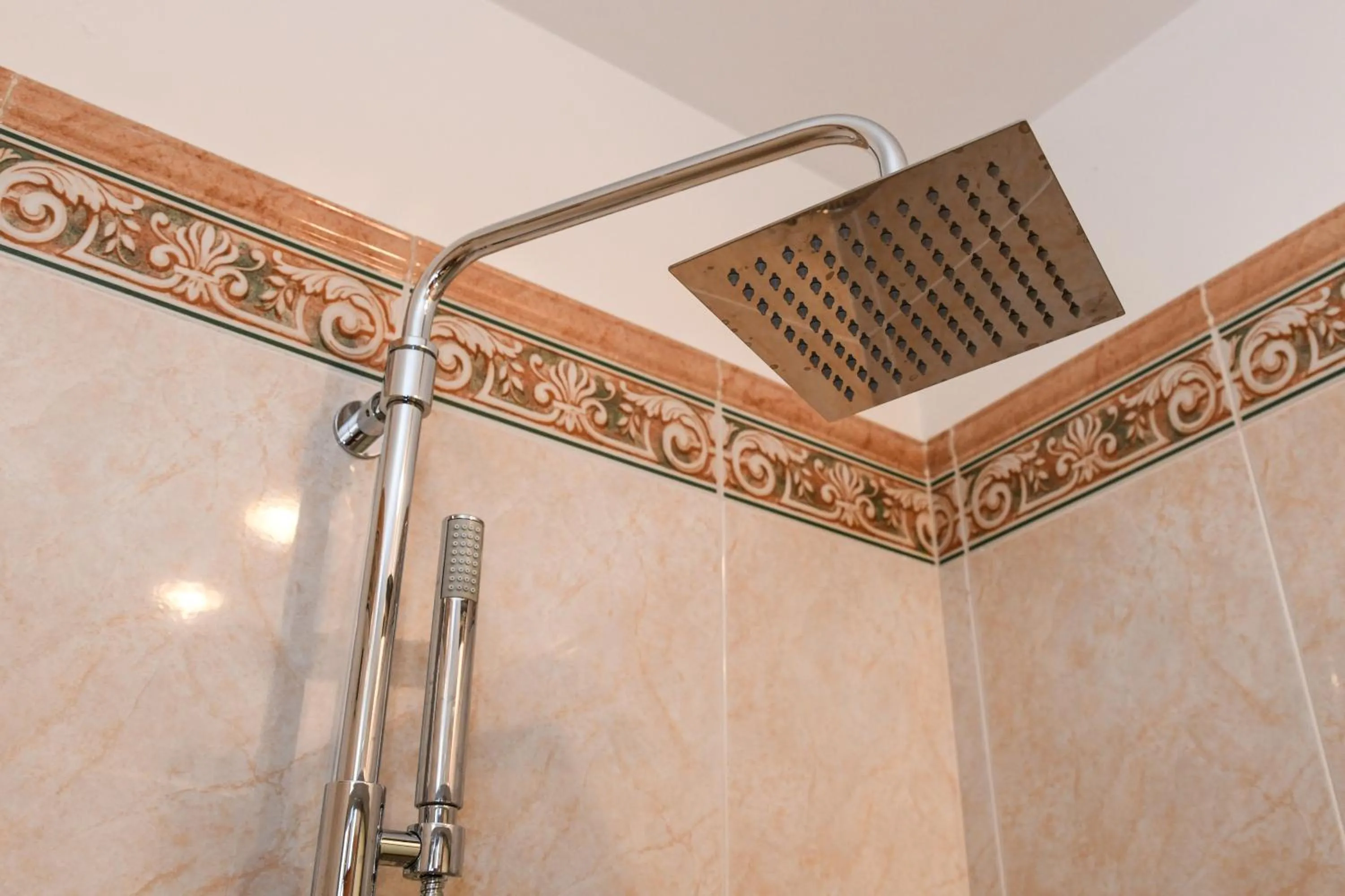 Shower in Hotel Master