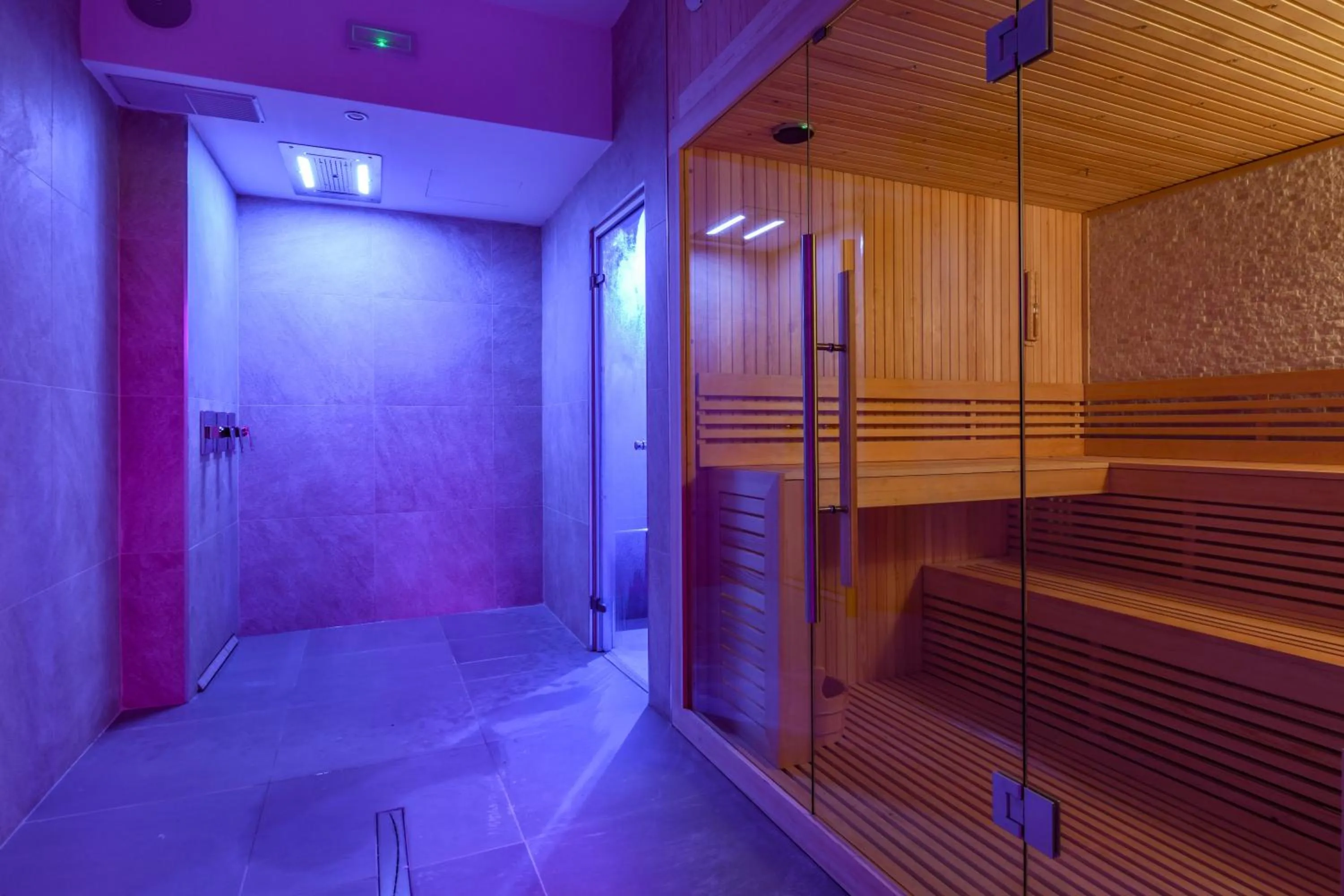 Sauna in Hotel Master