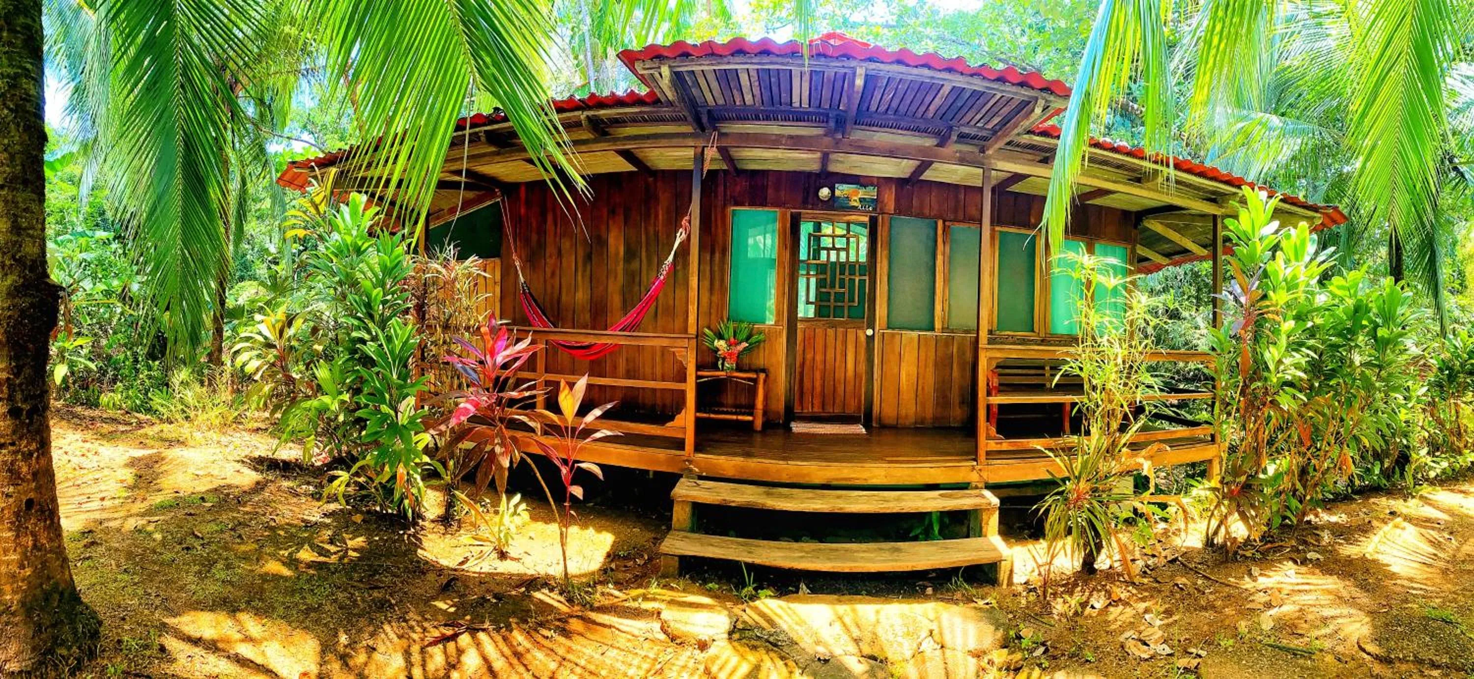 Garden in Ocean Forest Ecolodge