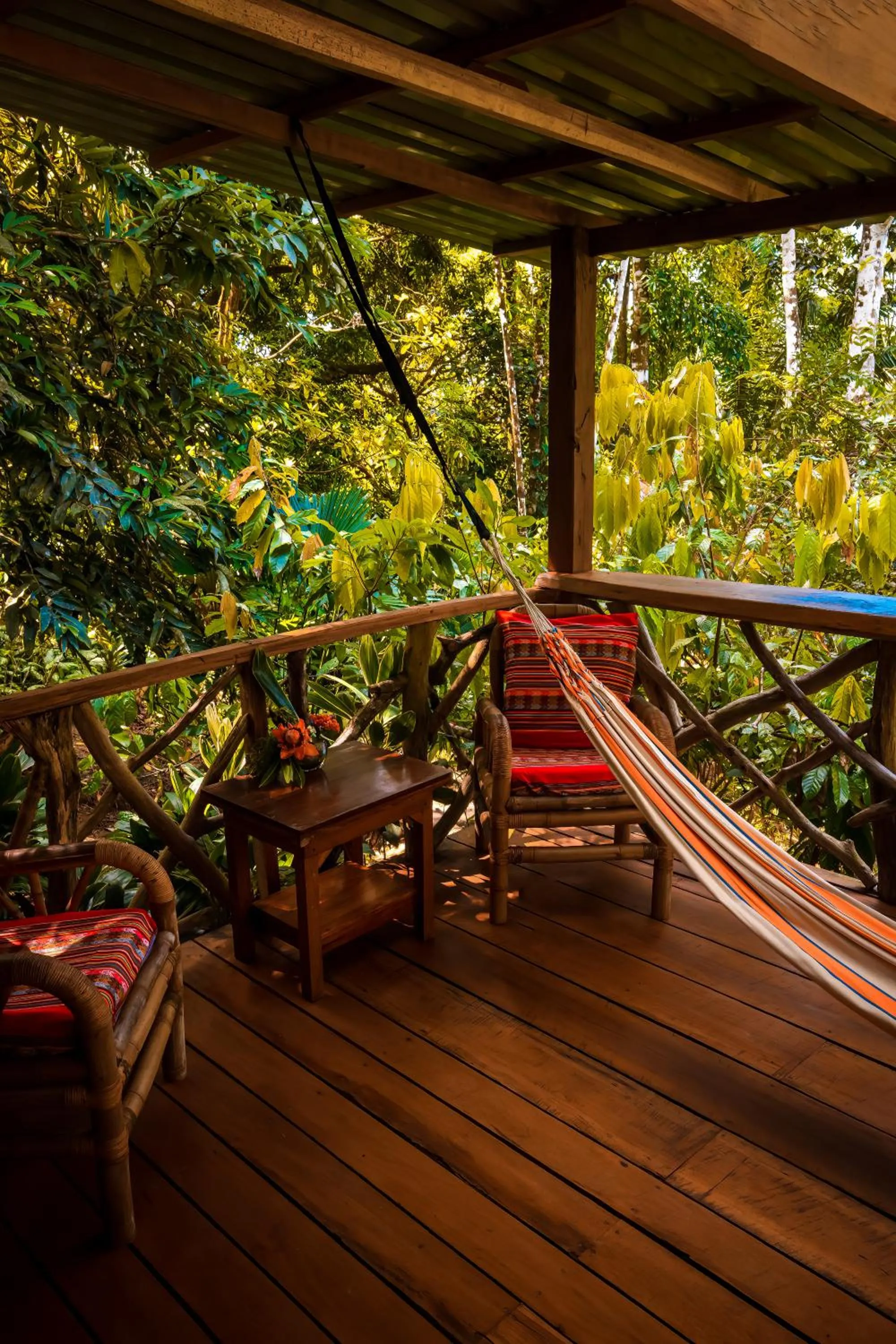 Garden in Ocean Forest Ecolodge