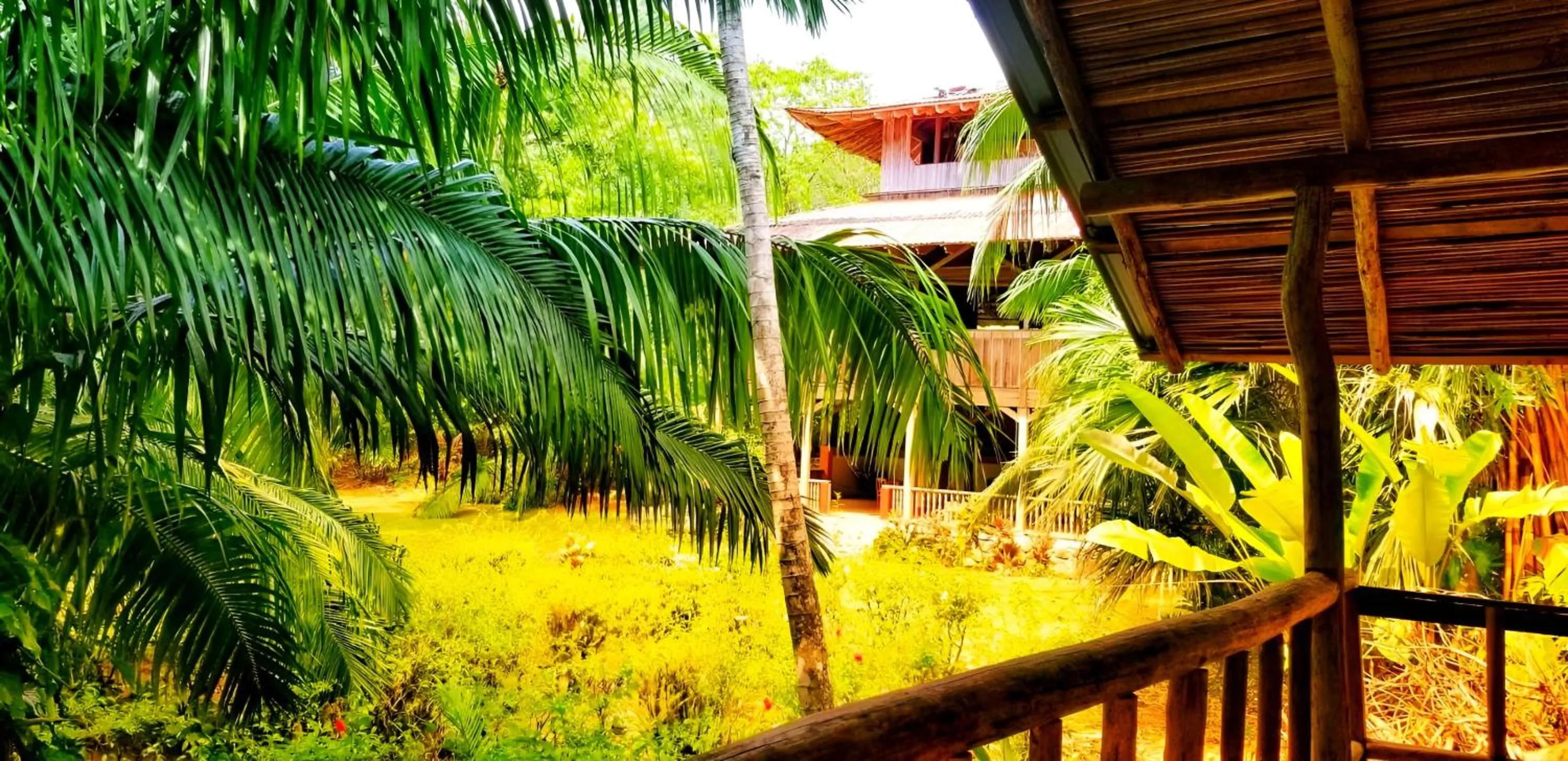 Garden in Ocean Forest Ecolodge