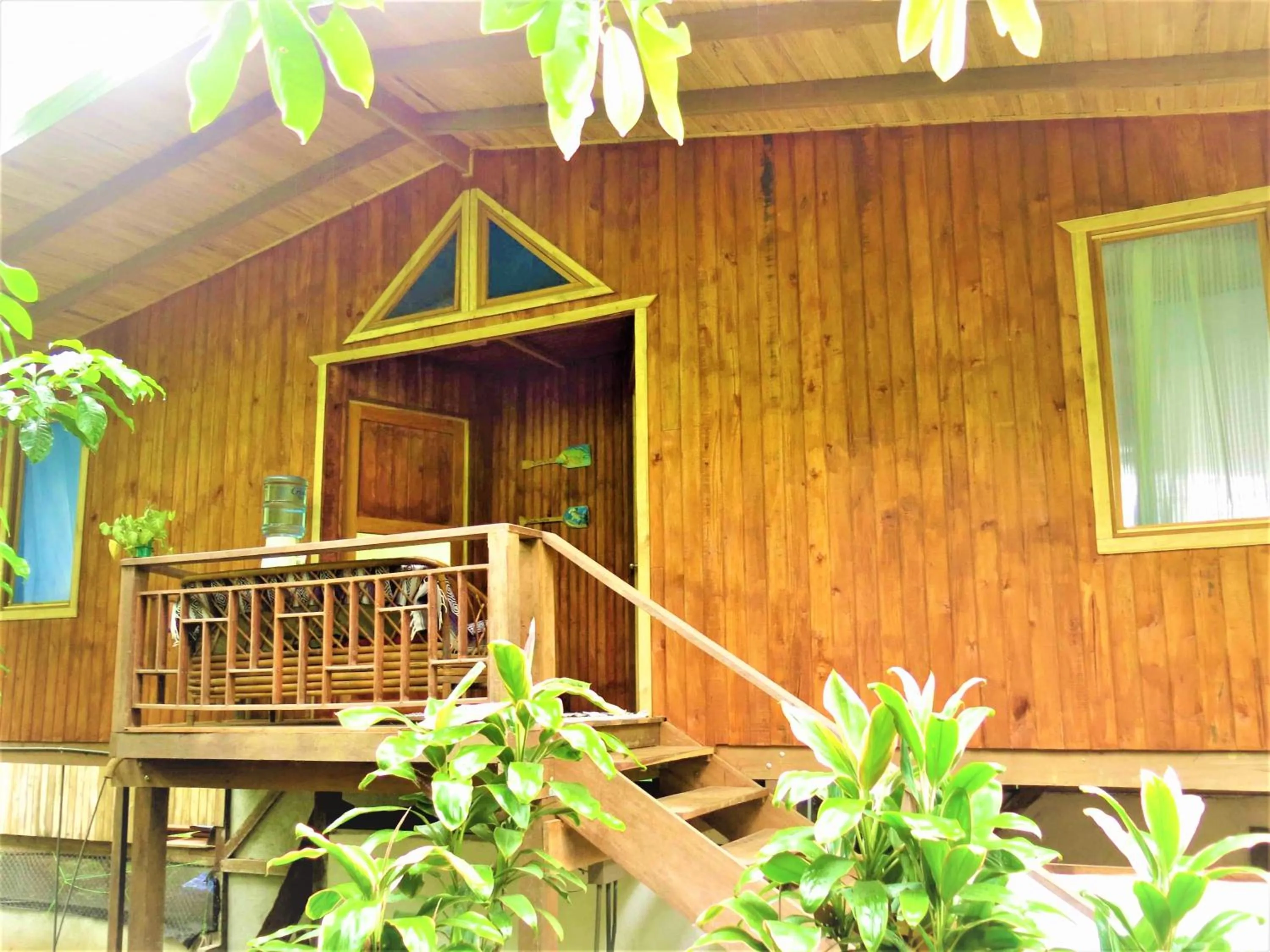 Property building in Ocean Forest Ecolodge