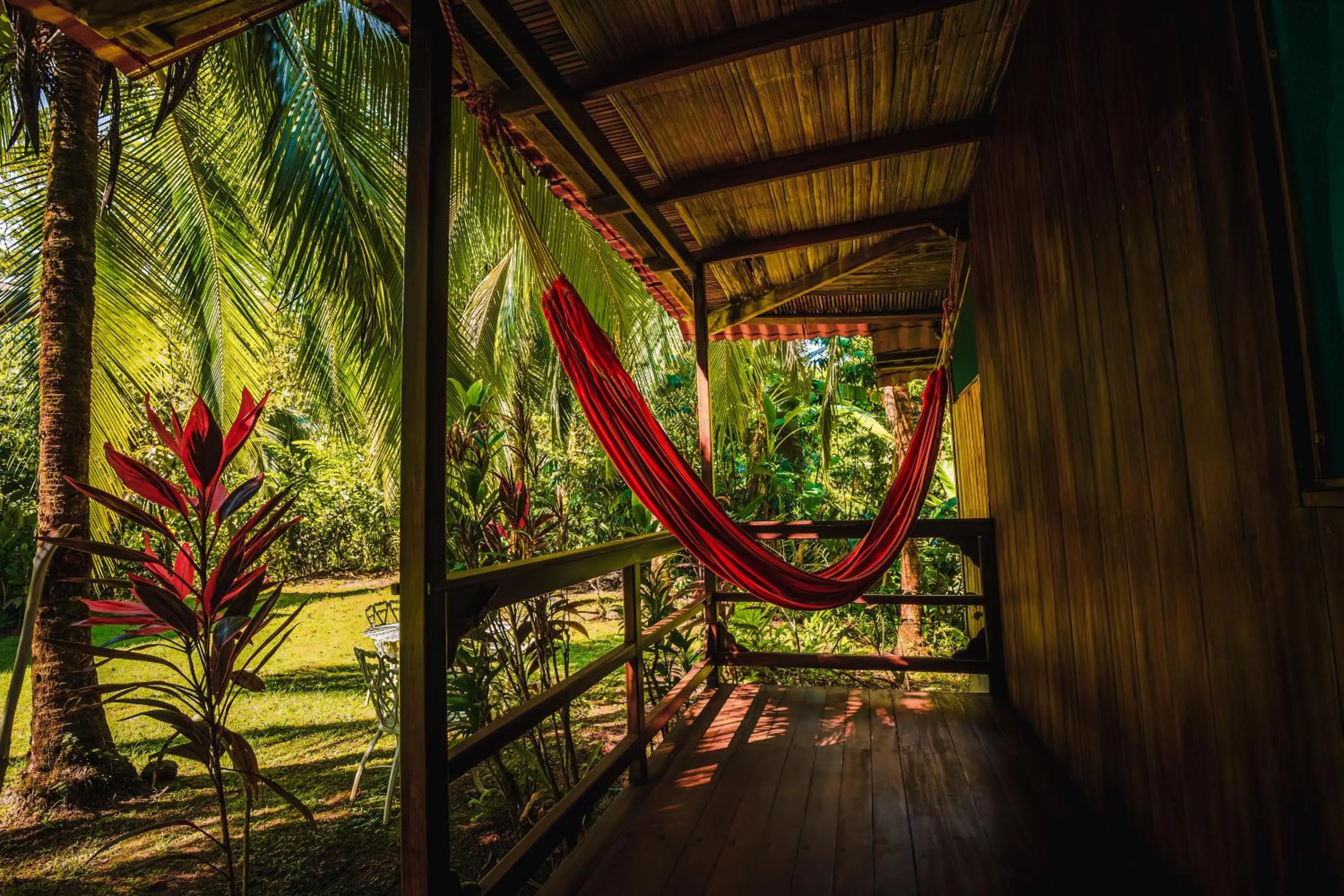 Garden in Ocean Forest Ecolodge