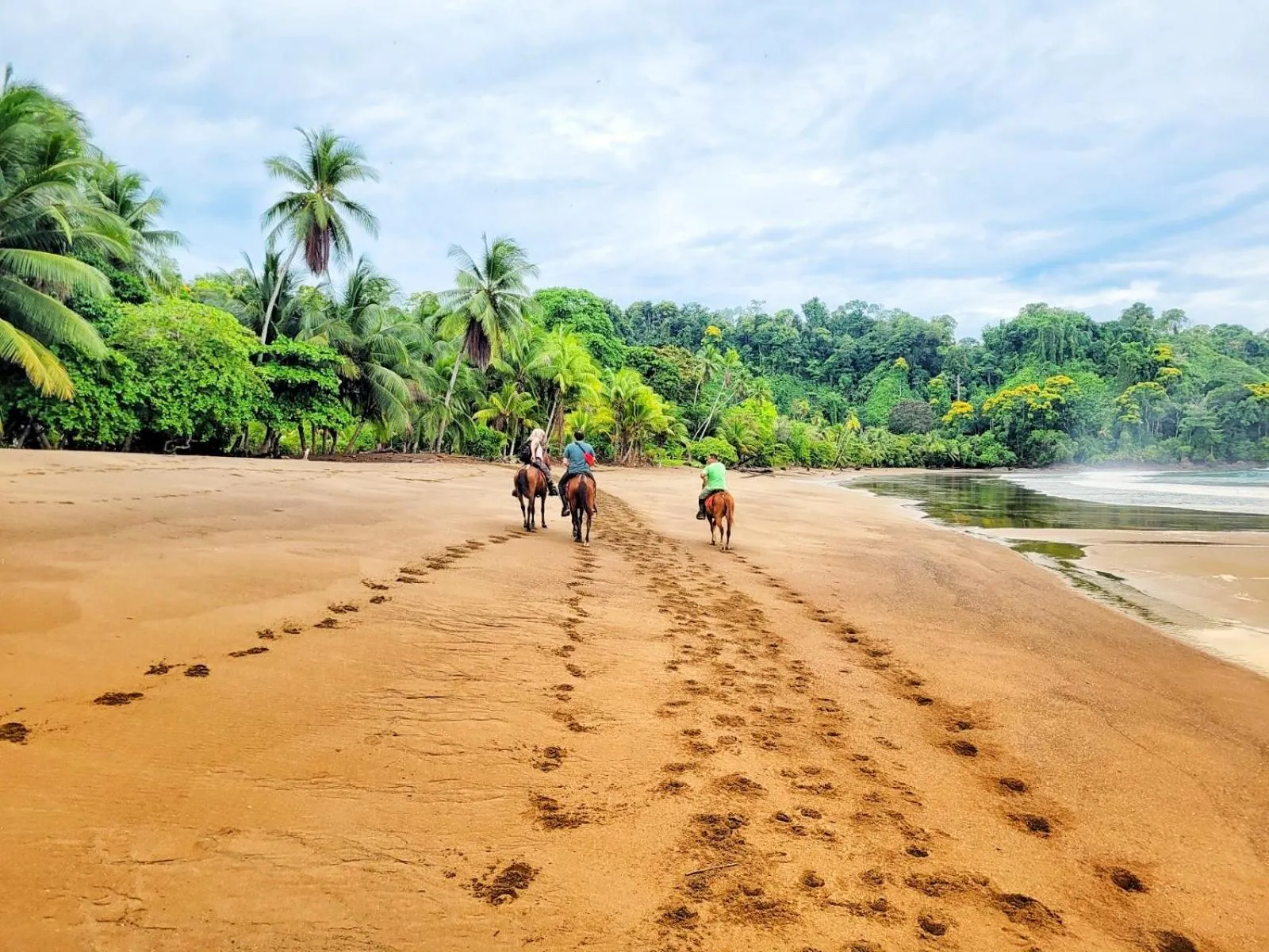 Horse-riding in Ocean Forest Ecolodge