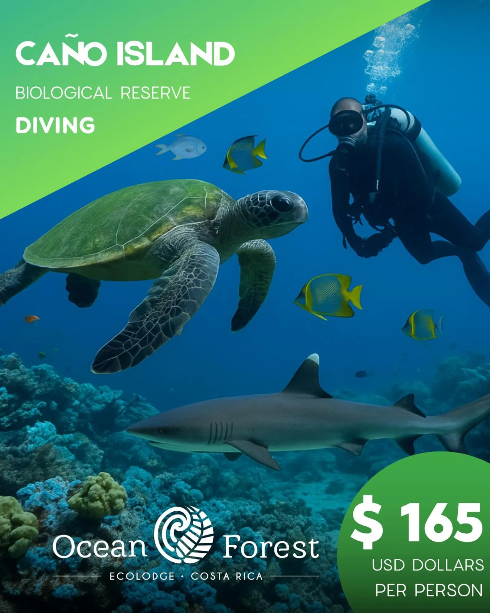 Activities in Ocean Forest Ecolodge