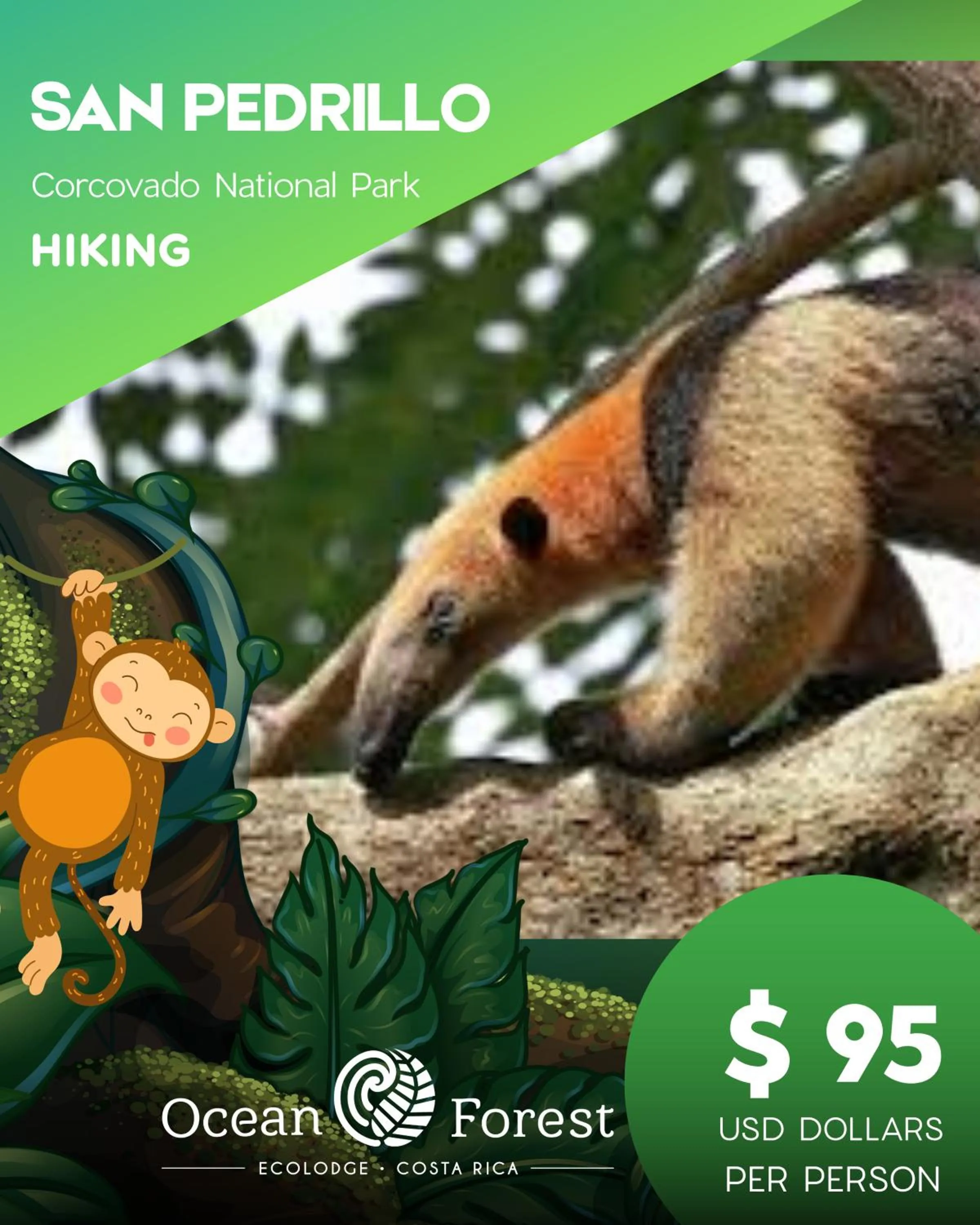 Day in Ocean Forest Ecolodge