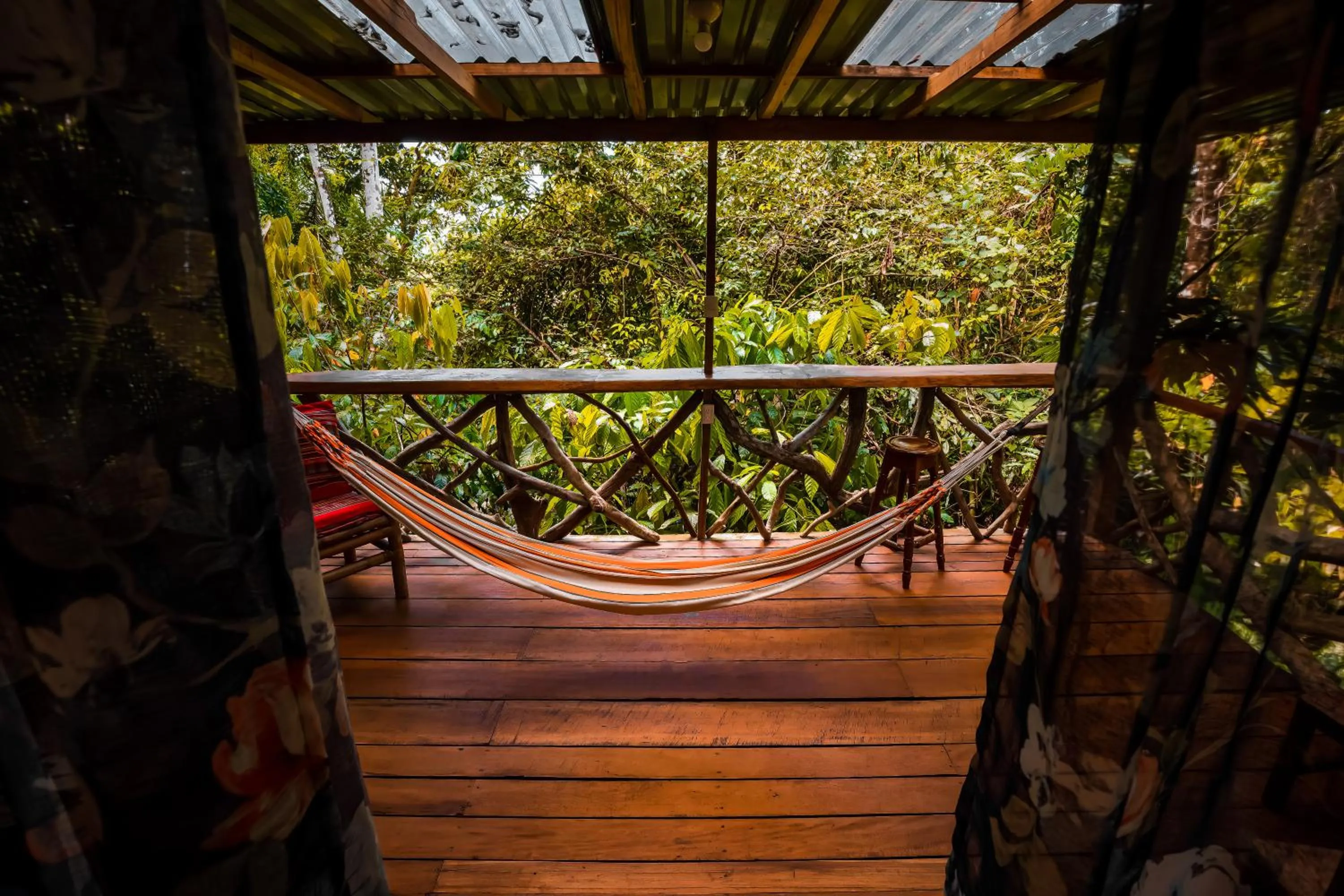 Day in Ocean Forest Ecolodge