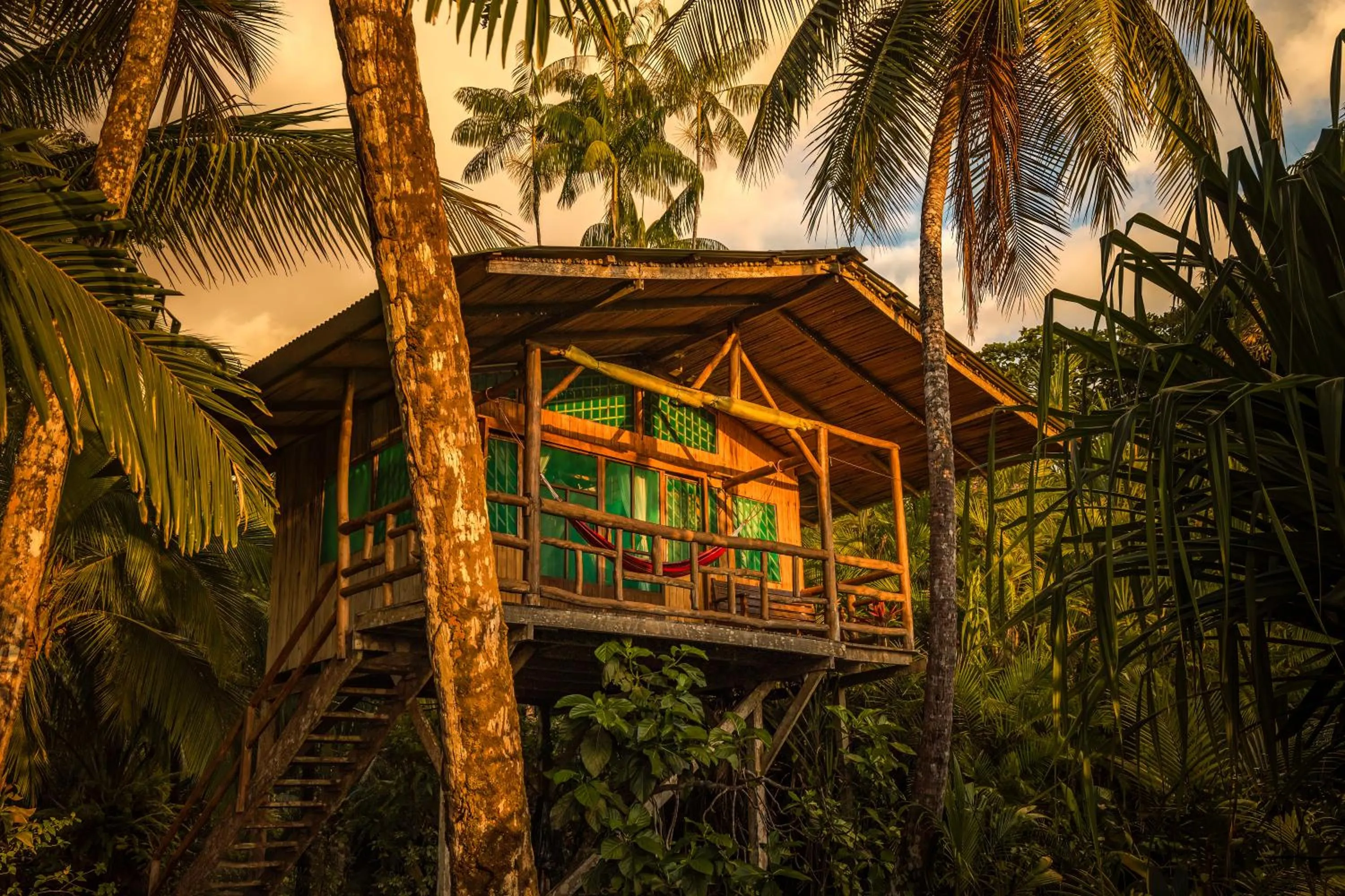 Property building in Ocean Forest Ecolodge