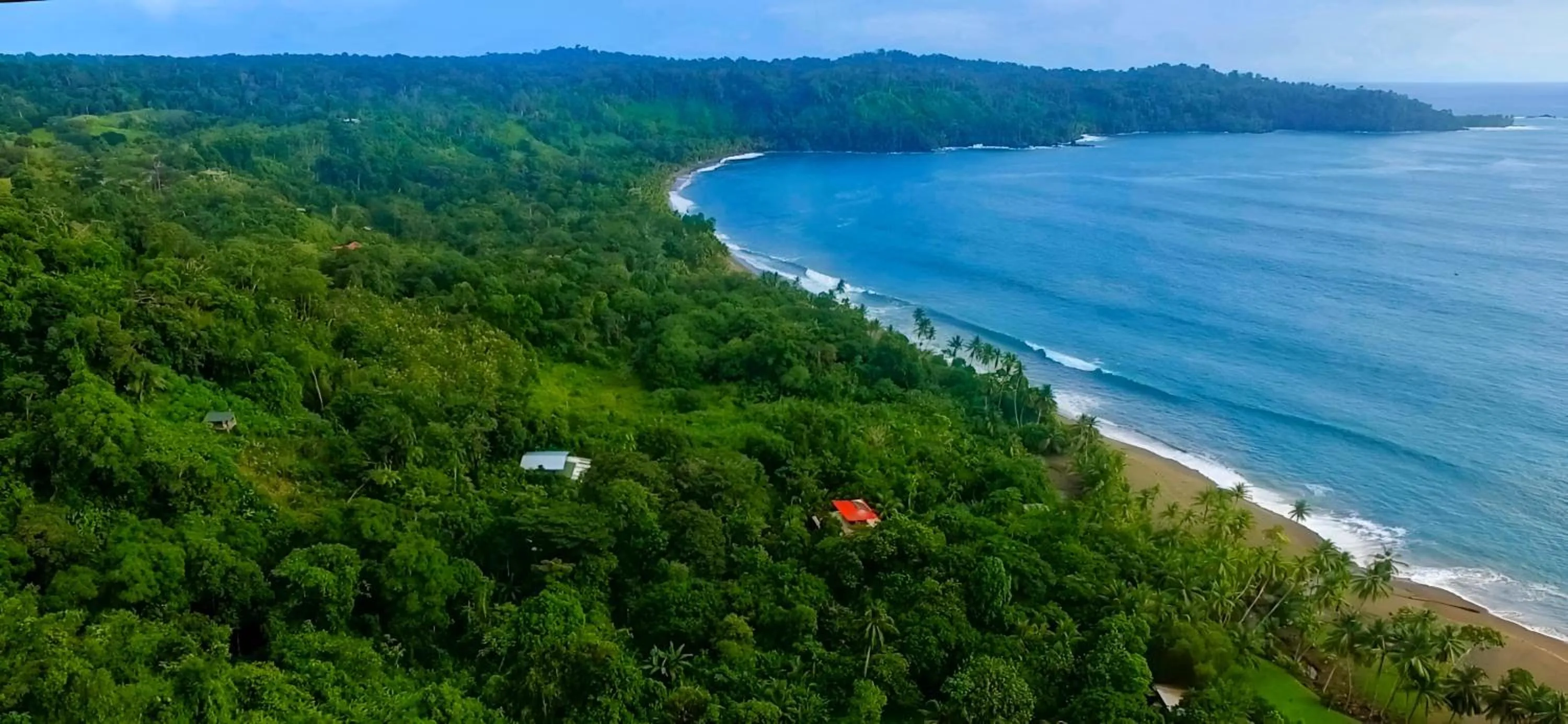Property building in Ocean Forest Ecolodge