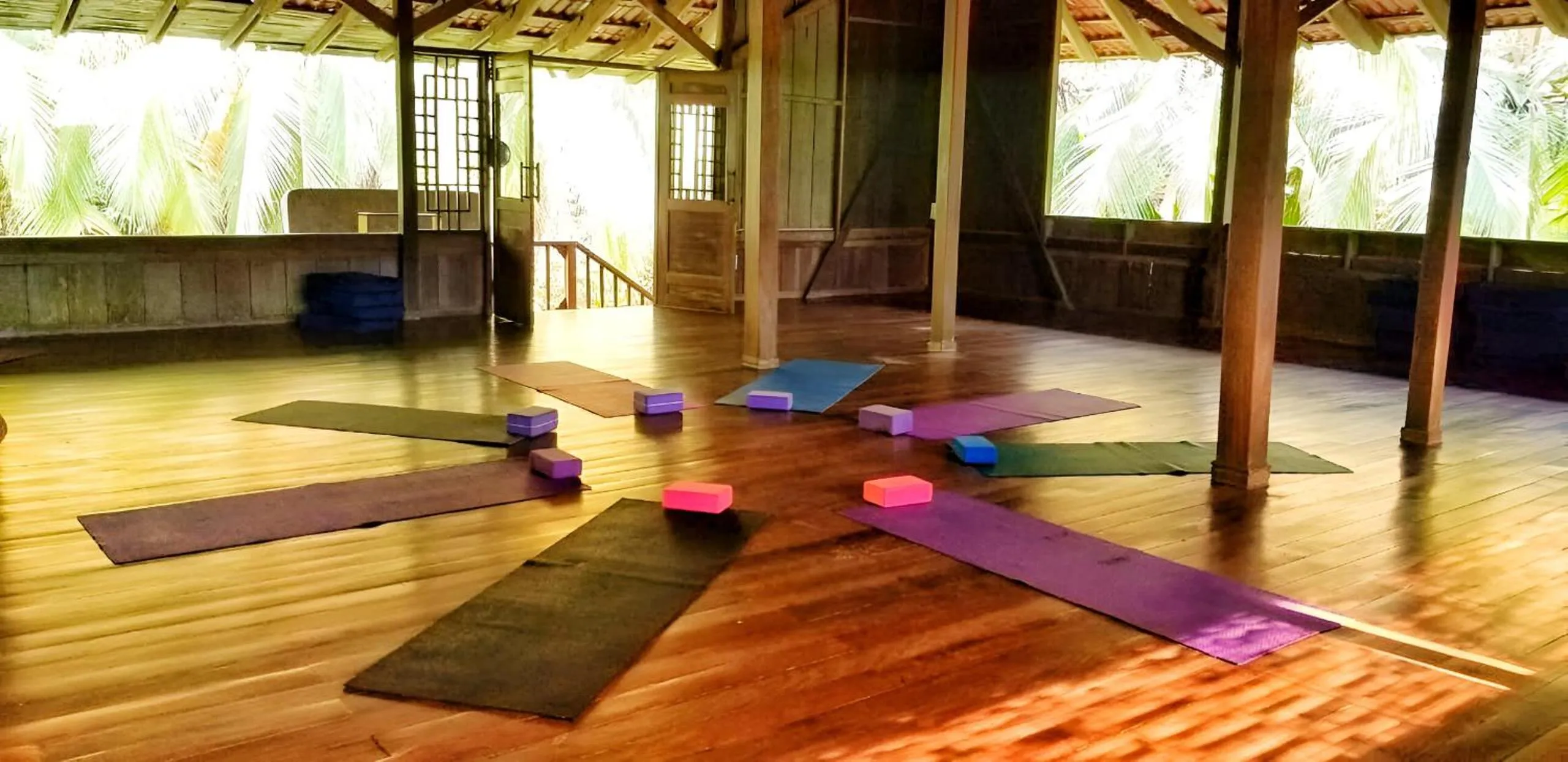 Property building in Ocean Forest Ecolodge