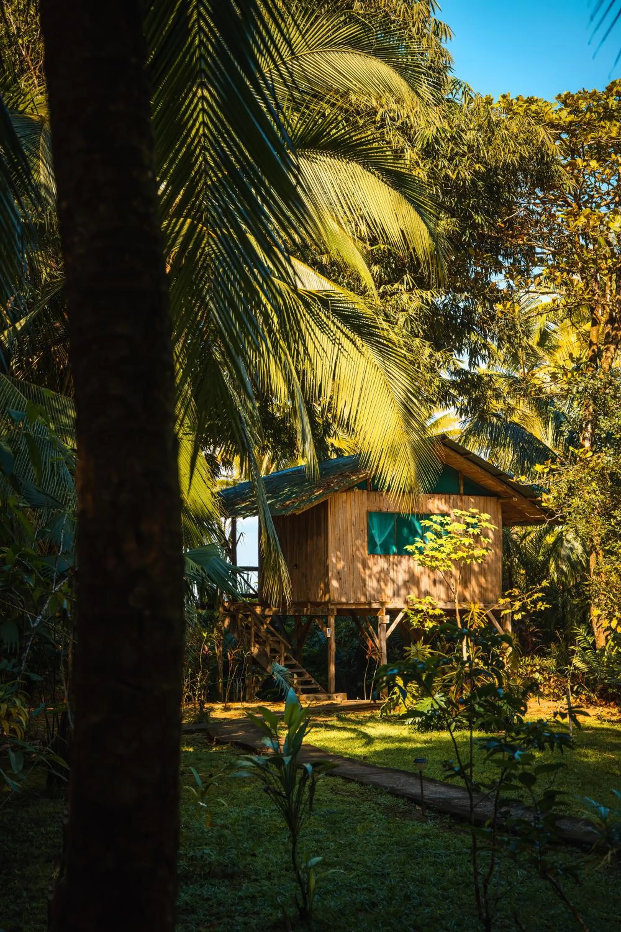 Property building in Ocean Forest Ecolodge