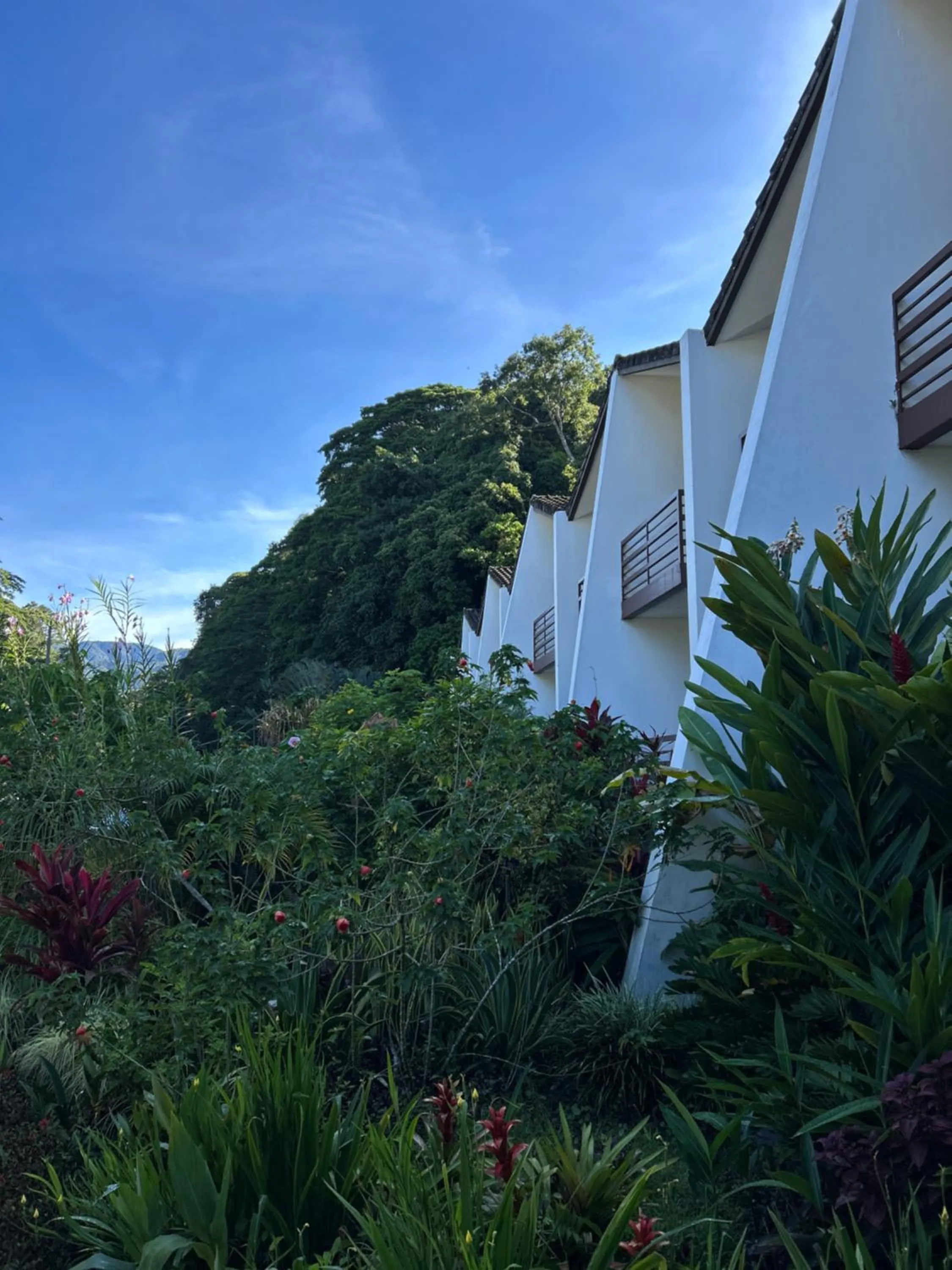 Property building in Hotel Ladera