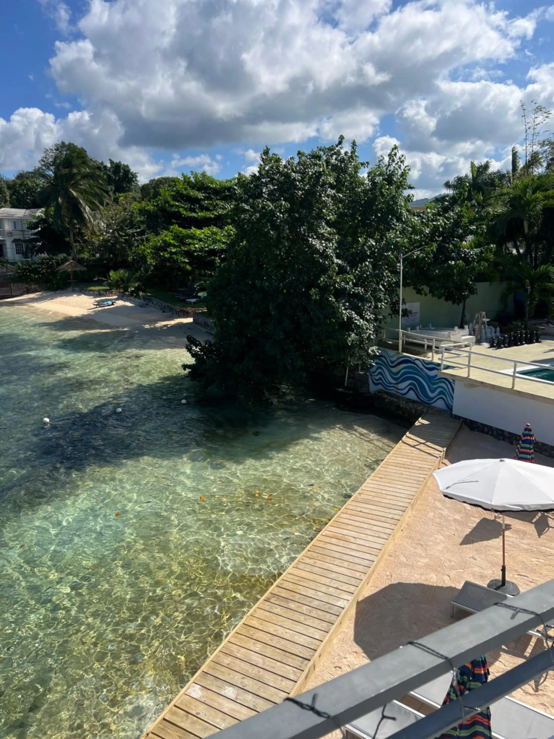 Beach in Ocean Palms