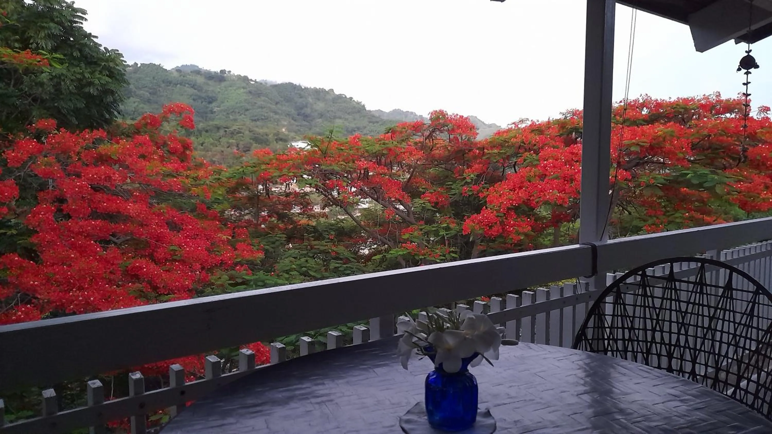 Balcony/Terrace in Neita's Nest