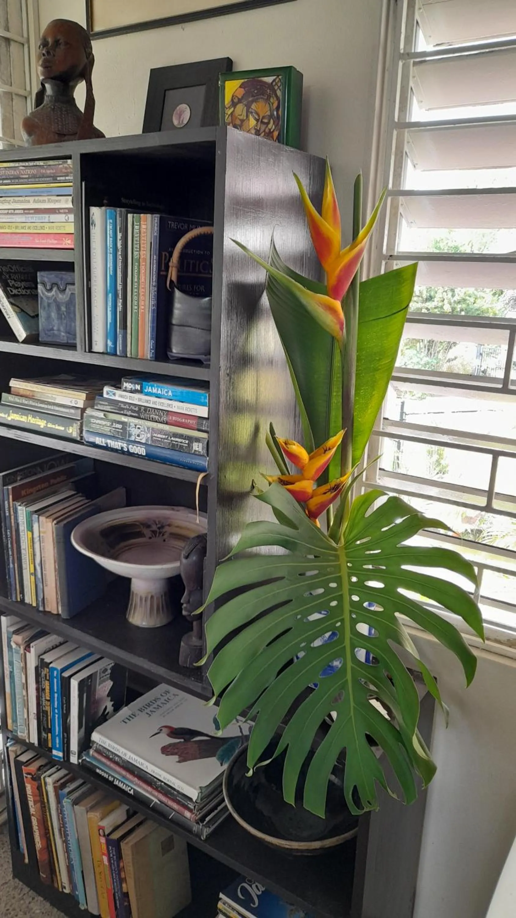 Library in Neita's Nest