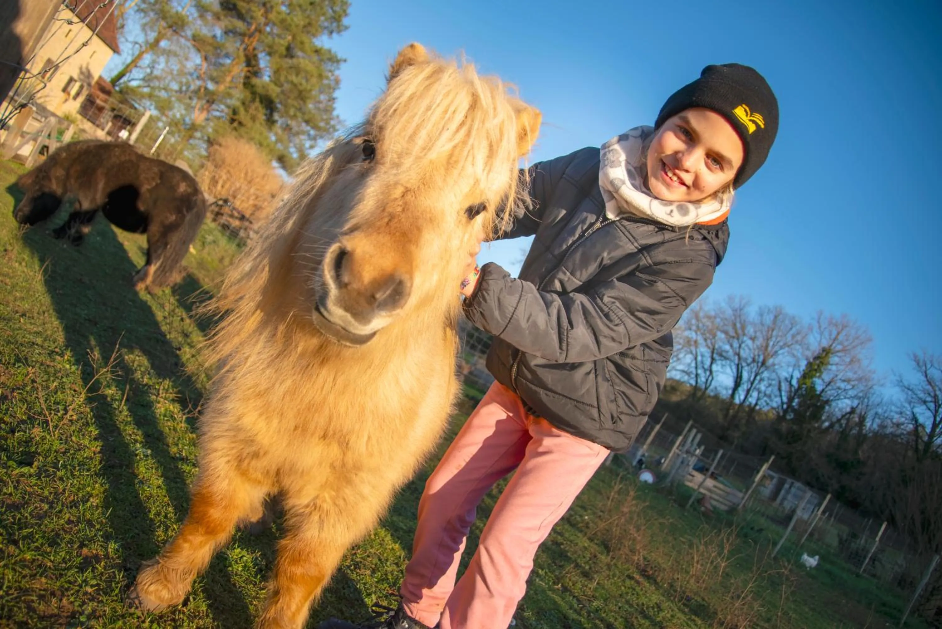 Pets in Ferme des Petites Oreilles 4 étoiles