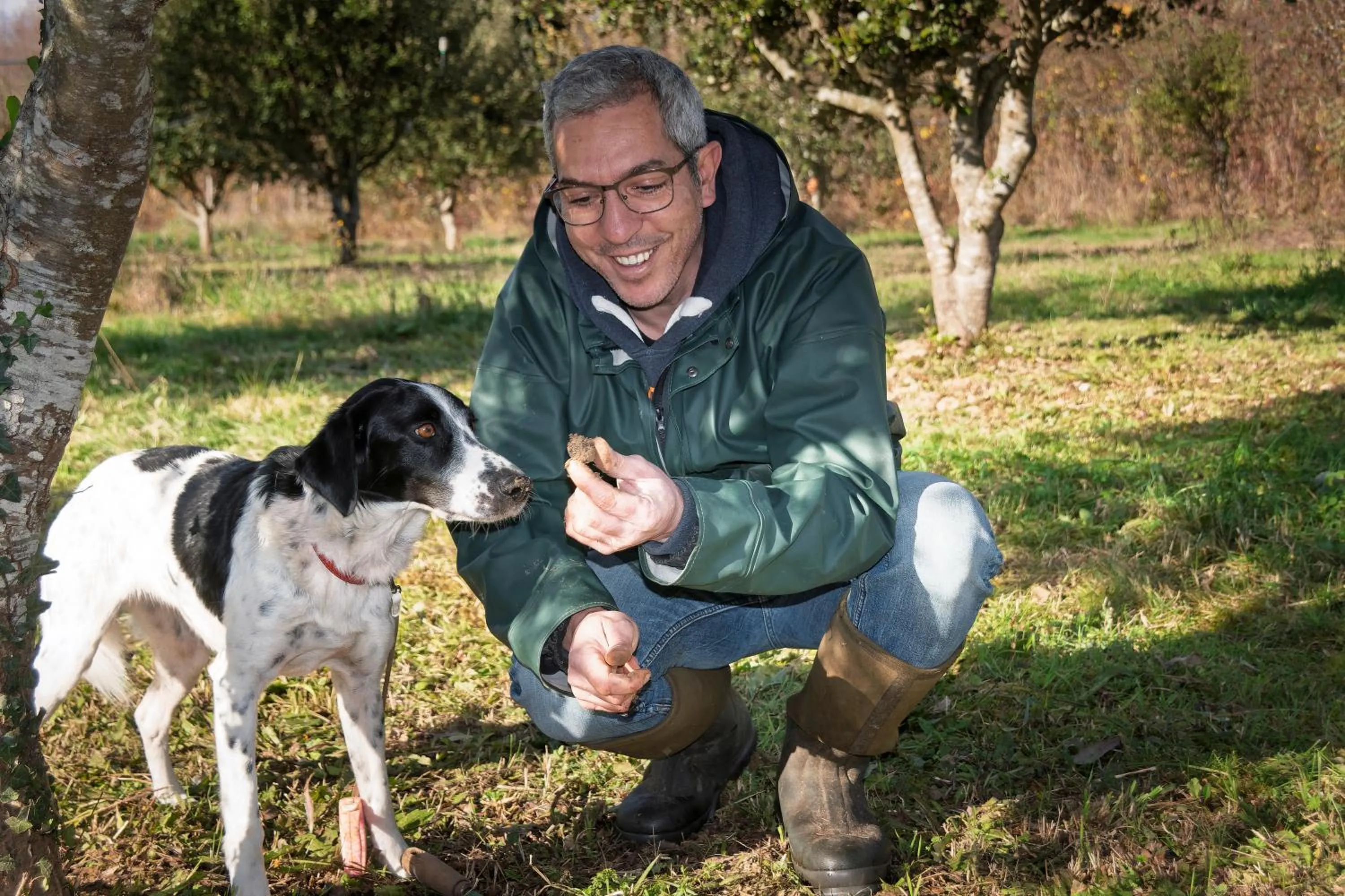 Pets in Ferme des Petites Oreilles 4 étoiles