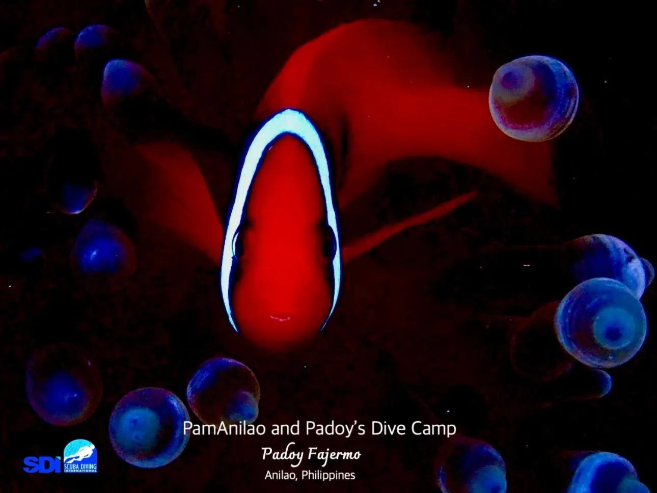 PamAnilao and Padoy's Dive Camp