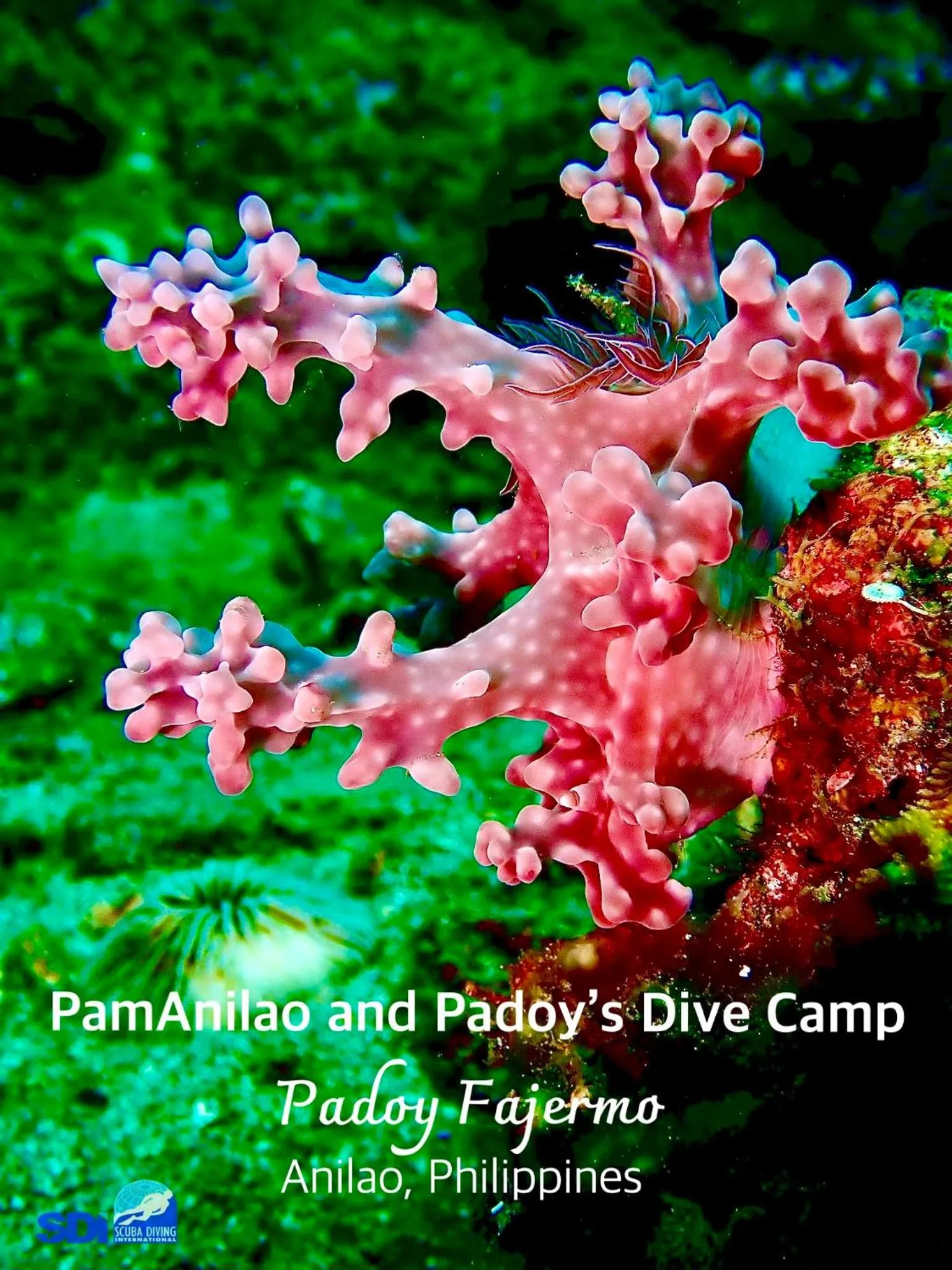 PamAnilao and Padoy's Dive Camp