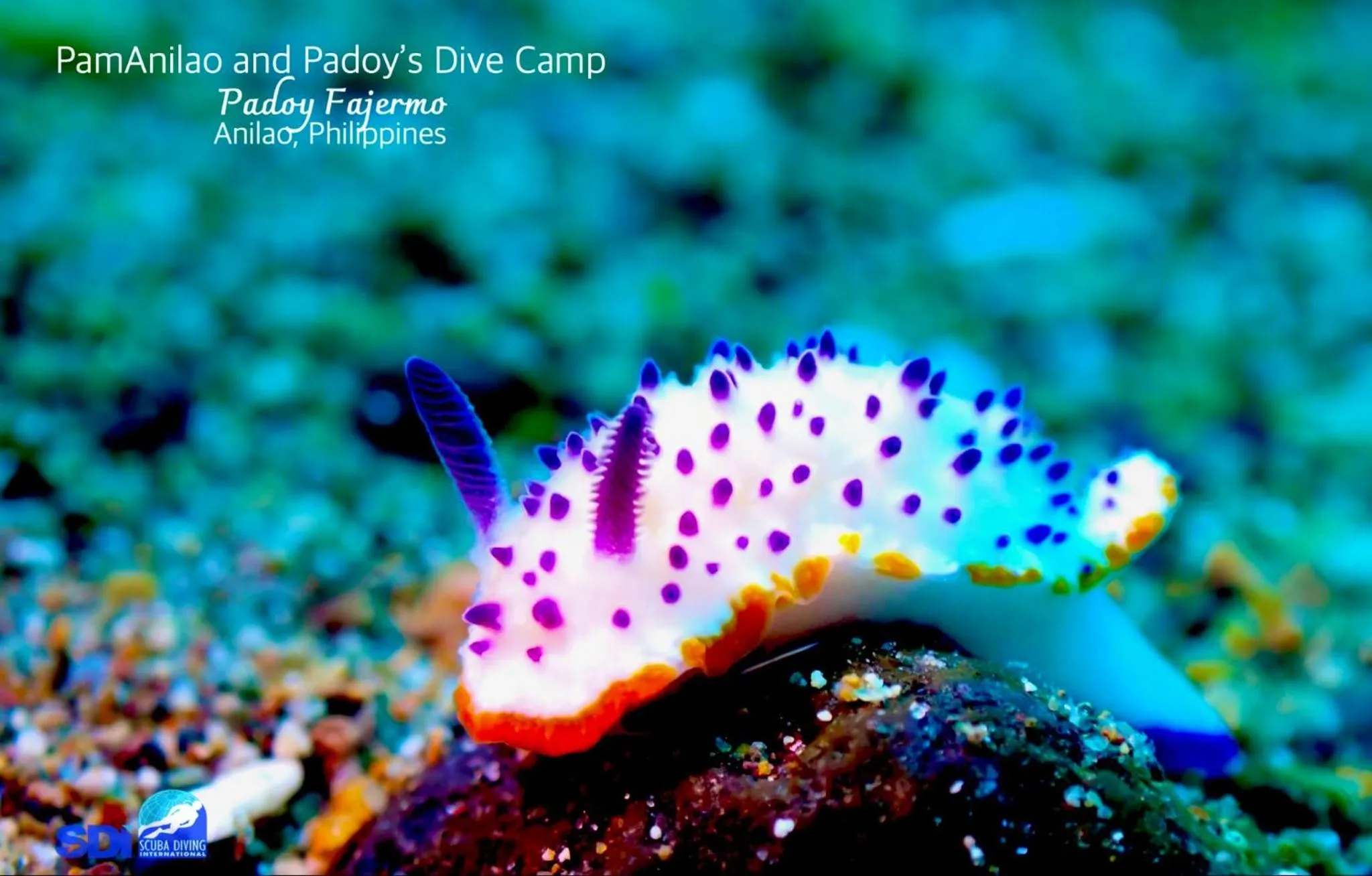 PamAnilao and Padoy's Dive Camp