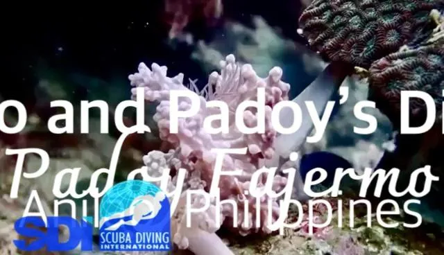 PamAnilao and Padoy's Dive Camp