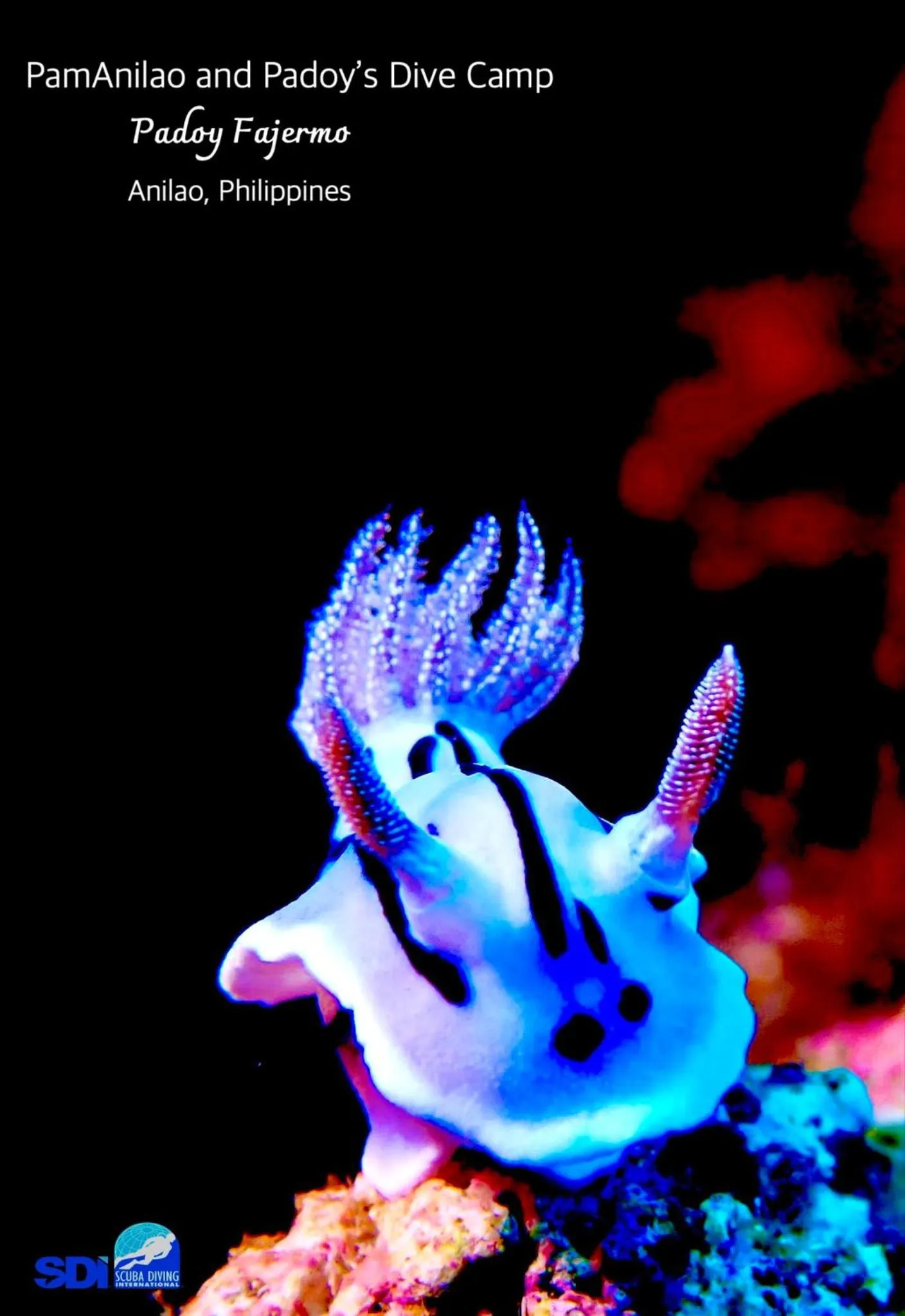 PamAnilao and Padoy's Dive Camp