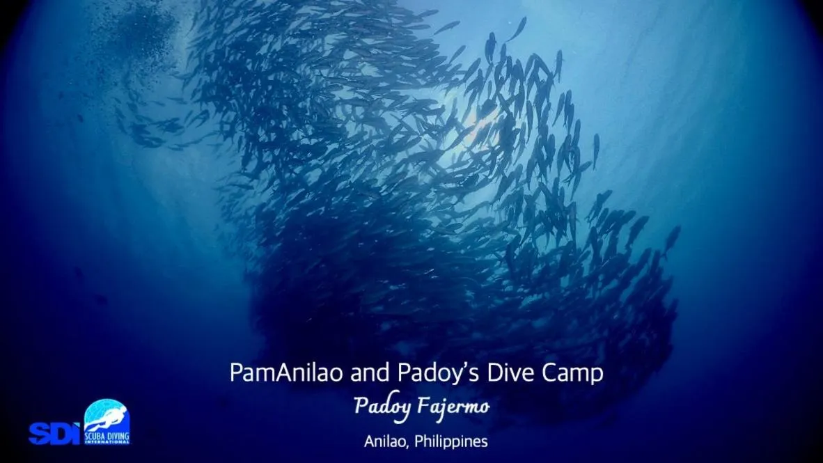 PamAnilao and Padoy's Dive Camp